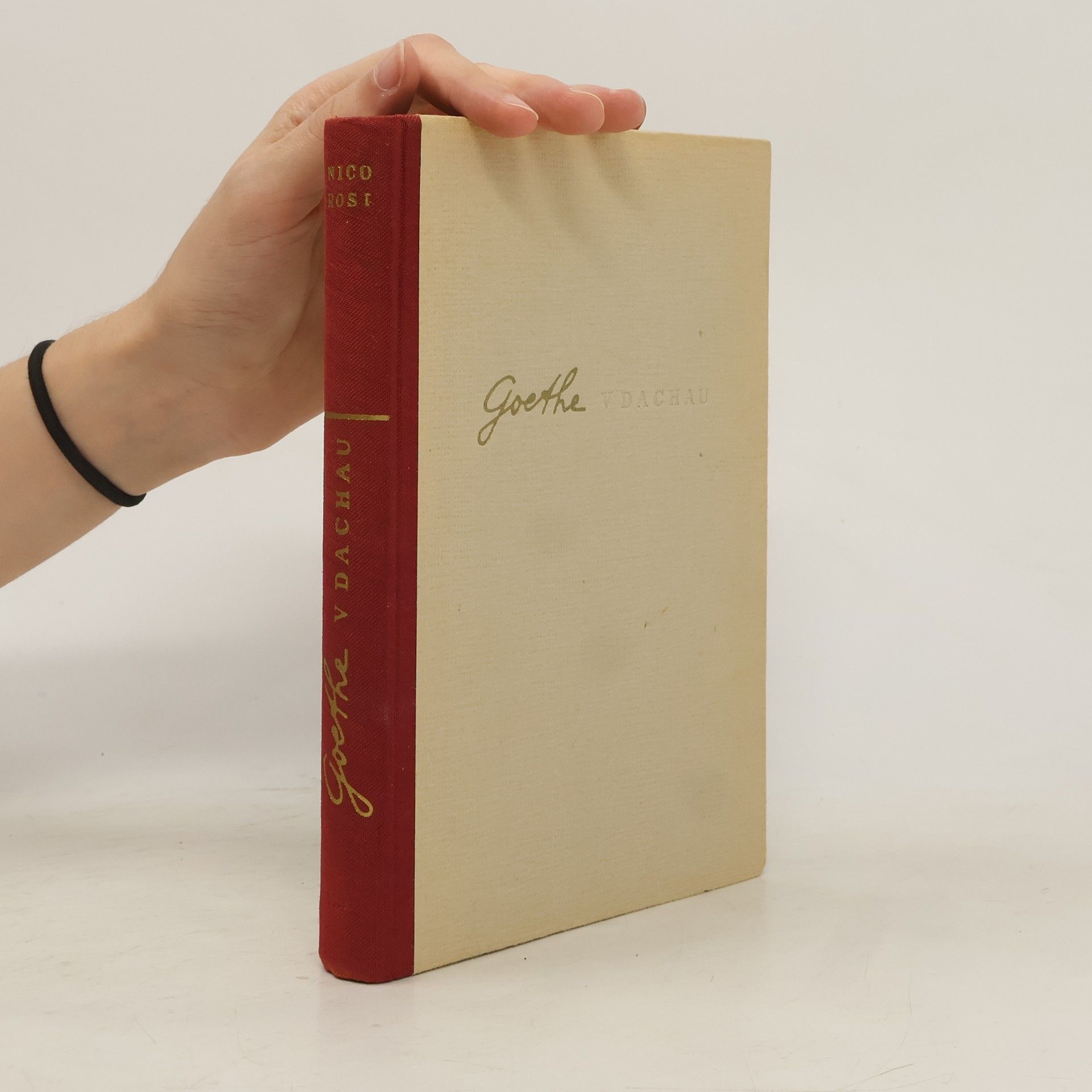 Nico Rost Goethe v Dachau