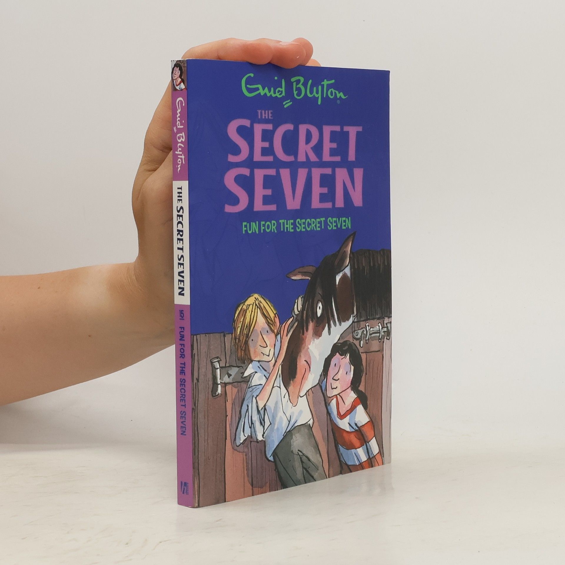Enid Blyton Secret Seven: Fun For The Secret Seven