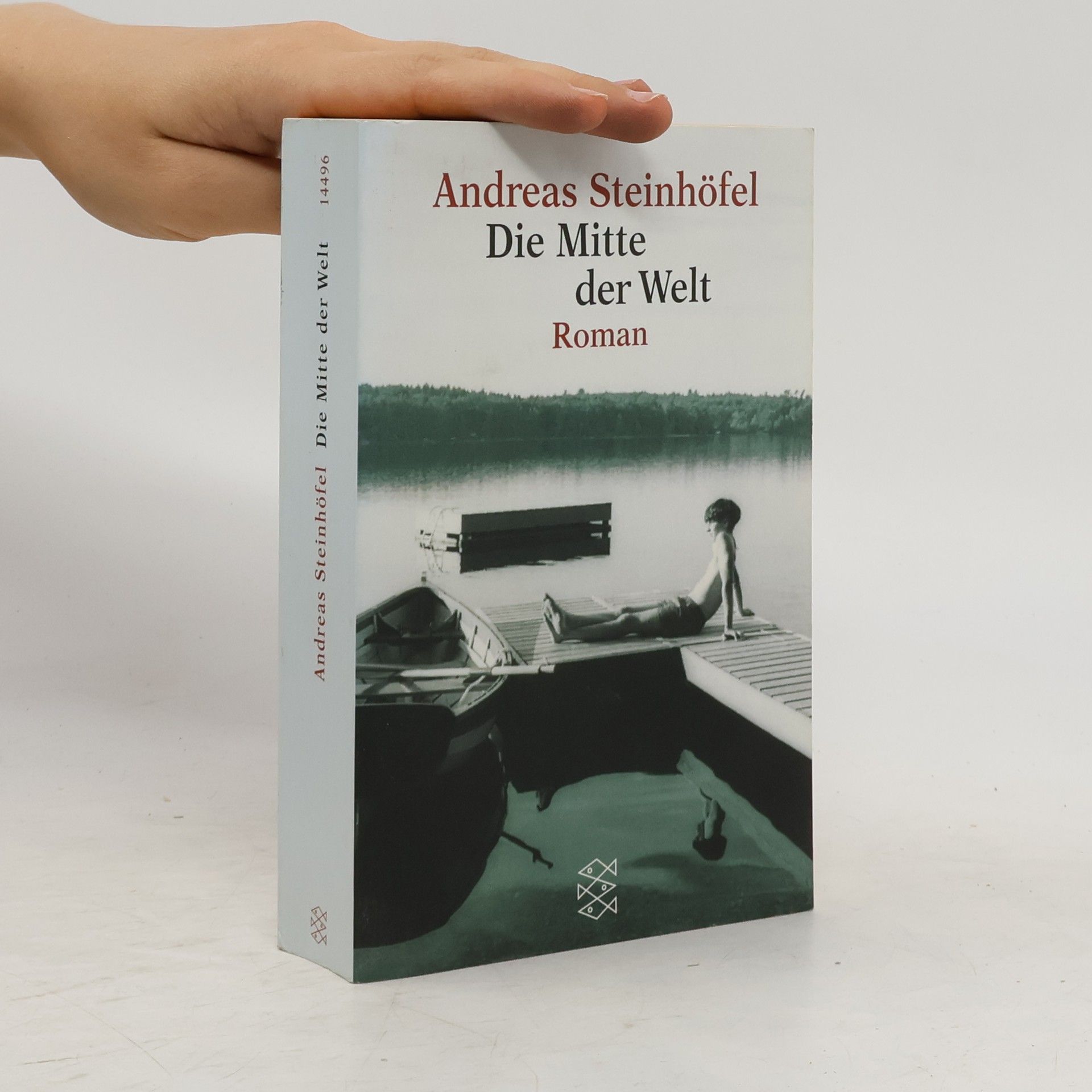 Andreas Steinhöfel Die Mitte der Welt