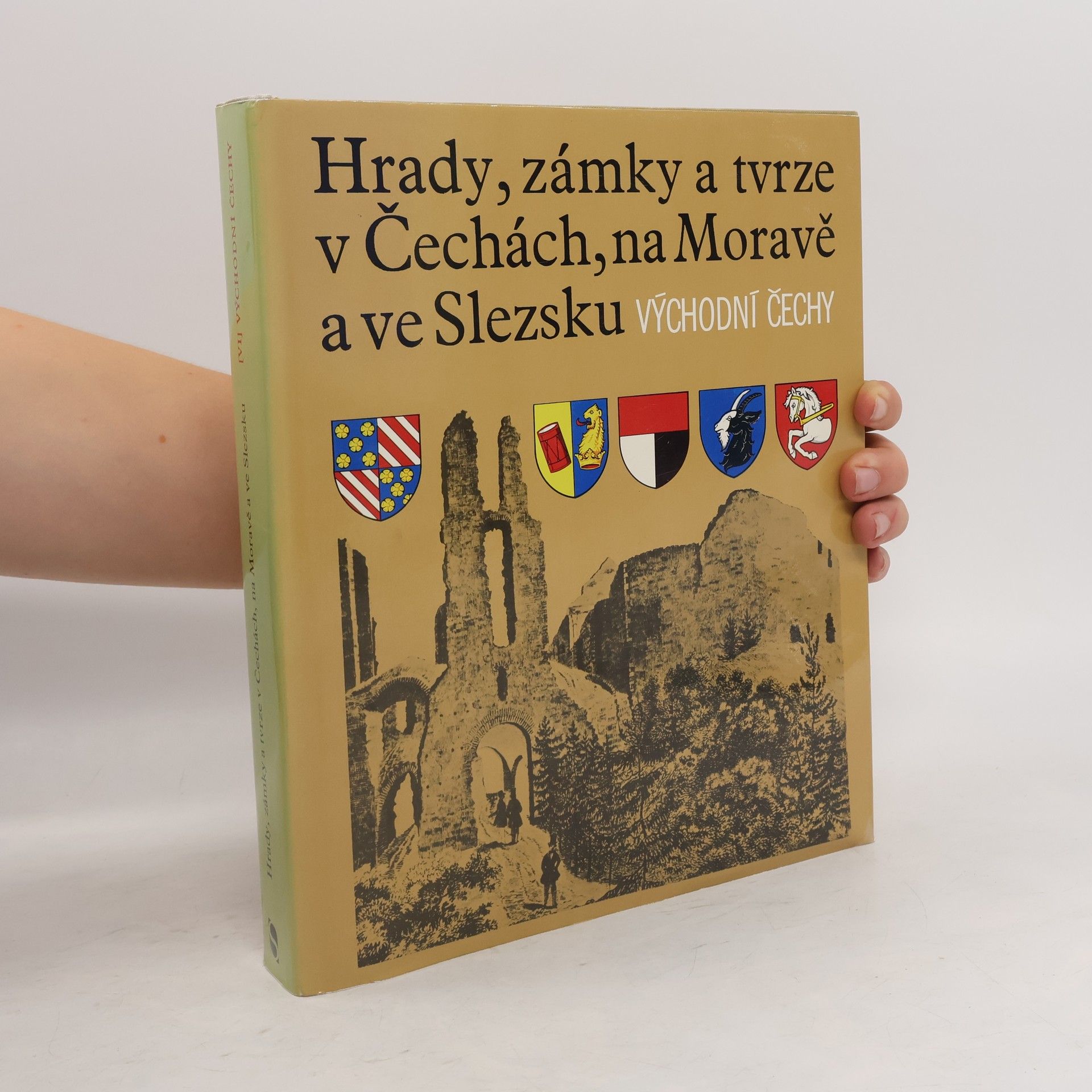 Kolektiv autorů Hrady, zámky a tvrze v Čechách na Moravě a ve Slezsku VI. Východní Čechy