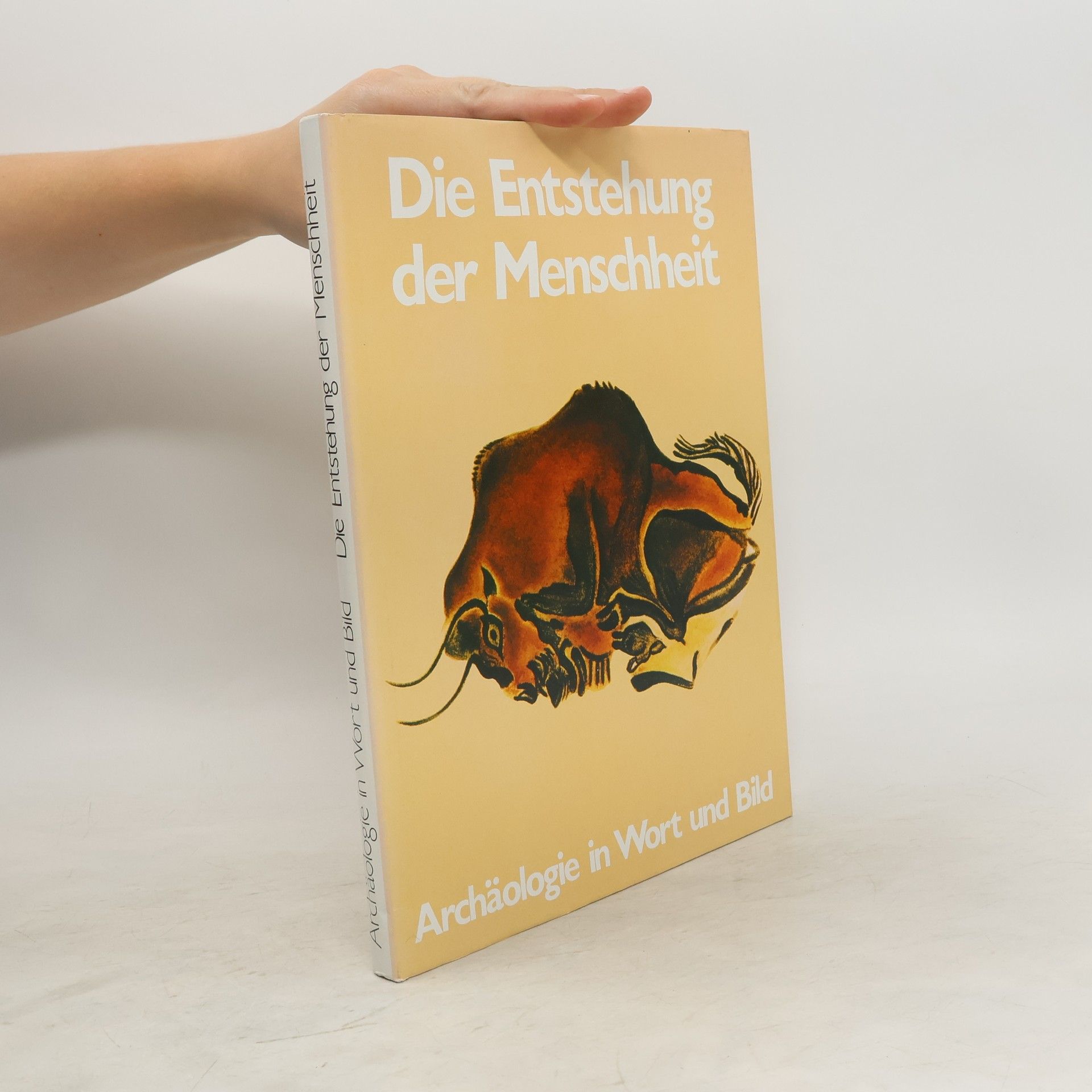 John Waechter Die Entstehung der Menschheit