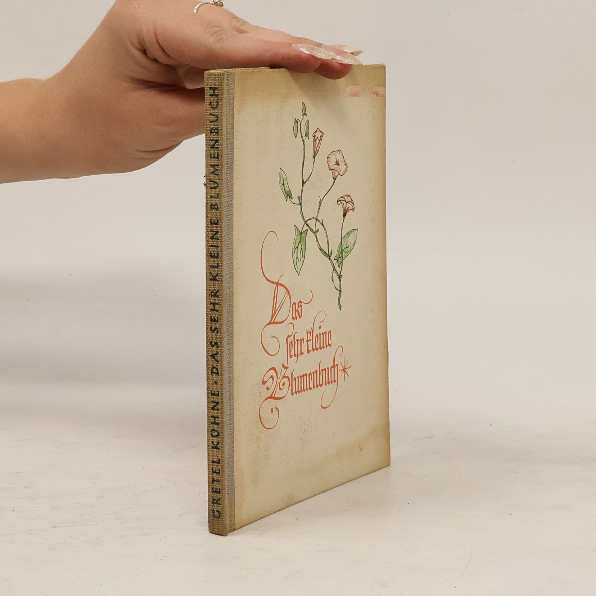 Gretel Kühne Das sehr kleine Blumenbuch