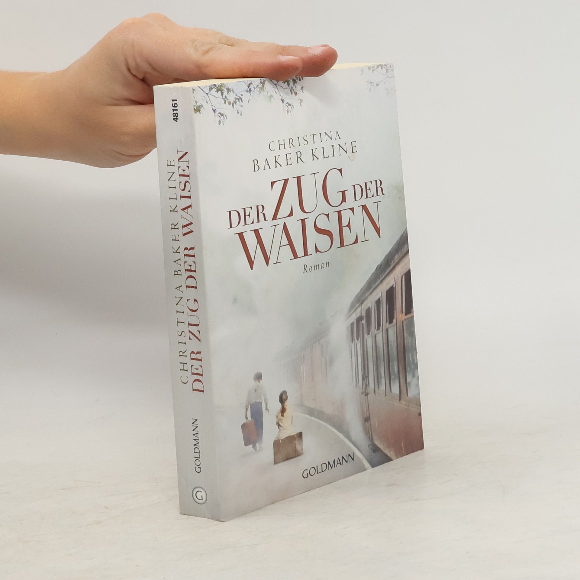 Christina Baker Kline Der Zug der Waisen