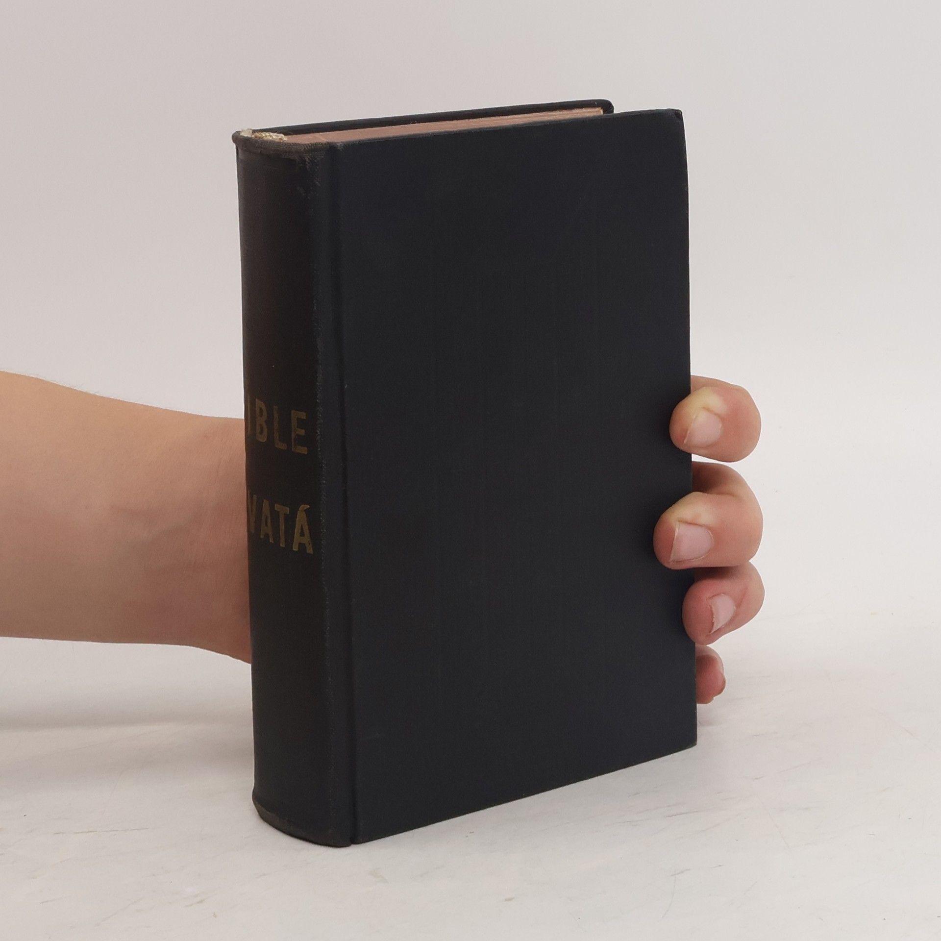 AA.VV. Bible svatá podle posledního vydání kralického z roku 1613