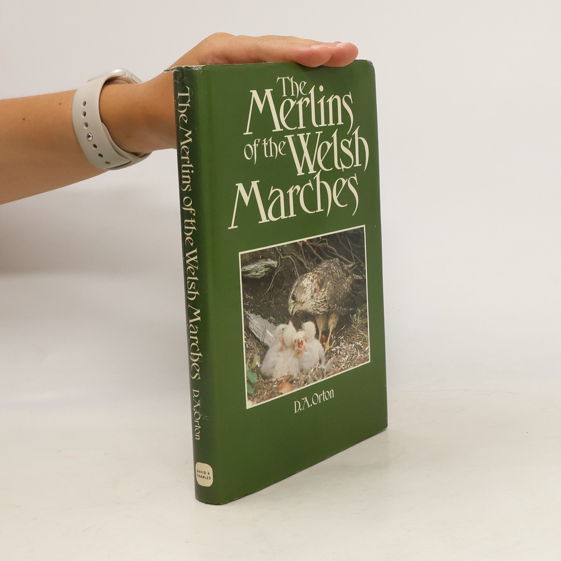 D.A. Orton The Merlins of the Welsh Marches