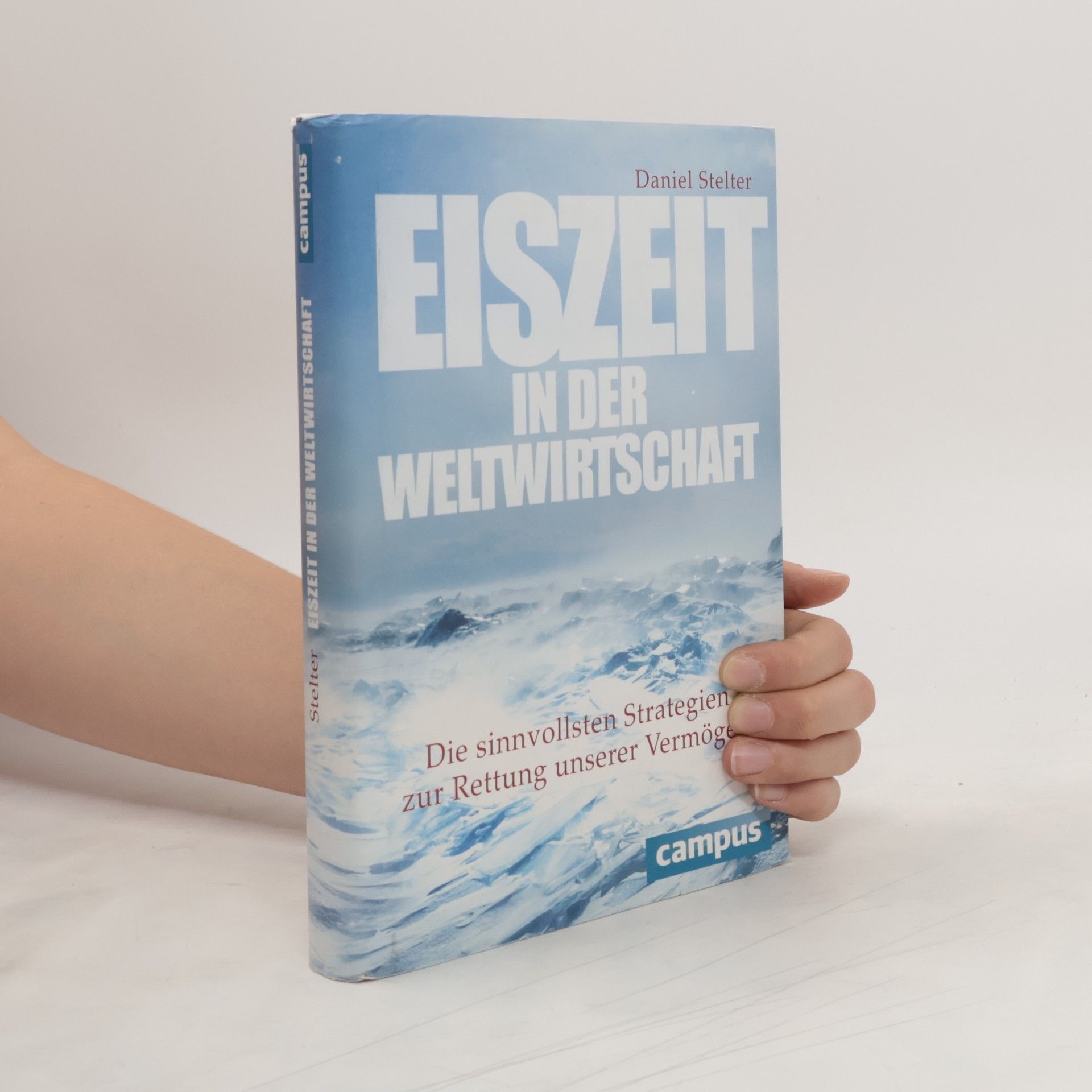 Daniel Stelter Eiszeit in der Weltwirtschaft