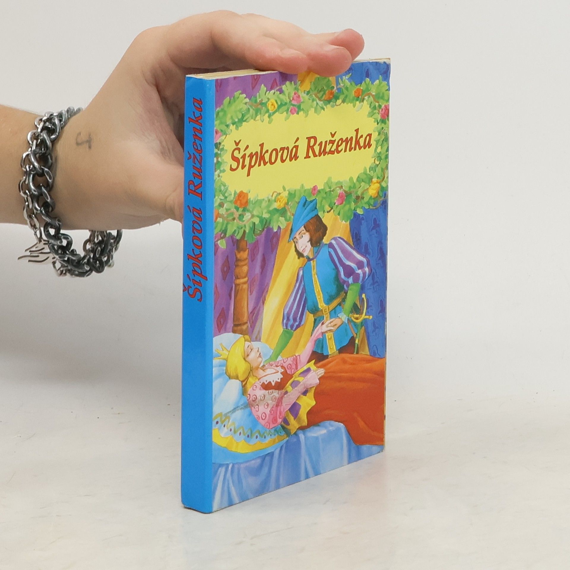 Autorenkollektiv Šípková Růženka