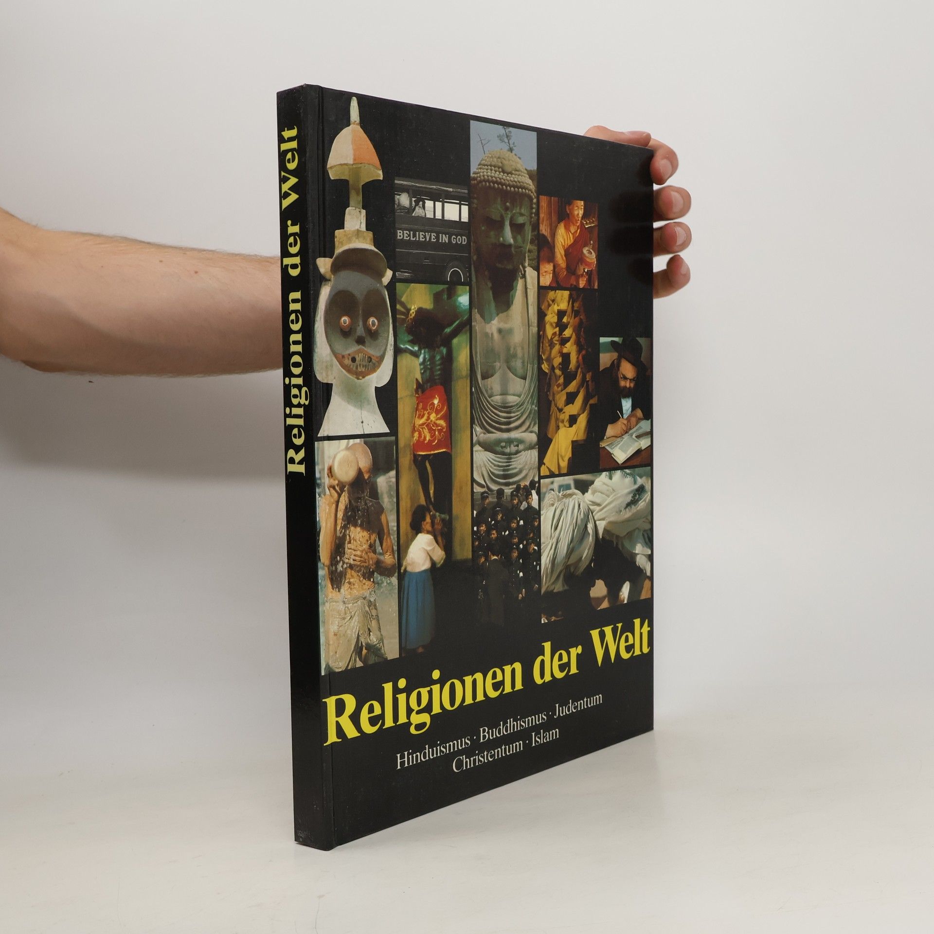 Kolektív autorov Religionen der Welt