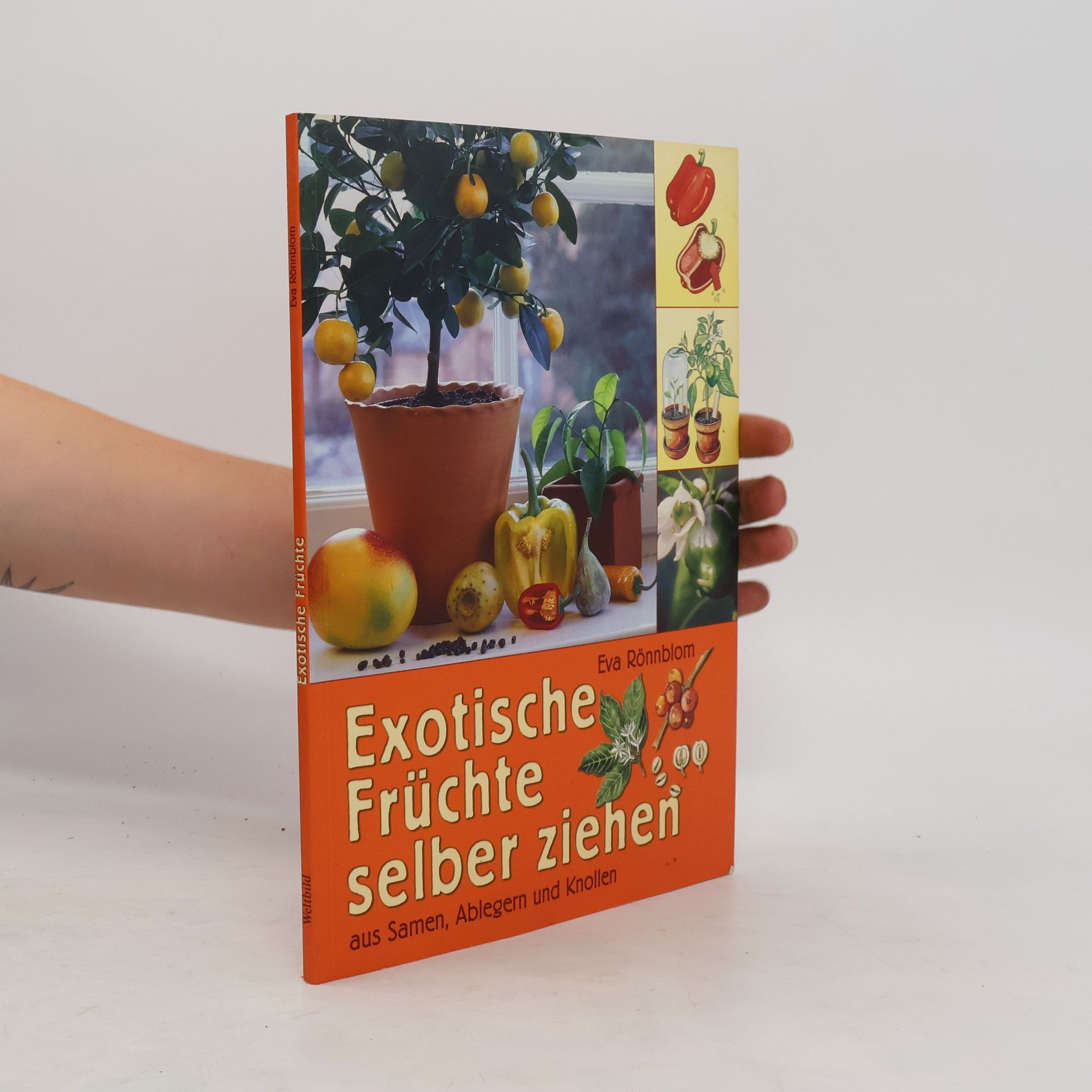 Eva Rönnblom Exotische Früchte selber ziehen aus Samen, Ablegern und Knollen
