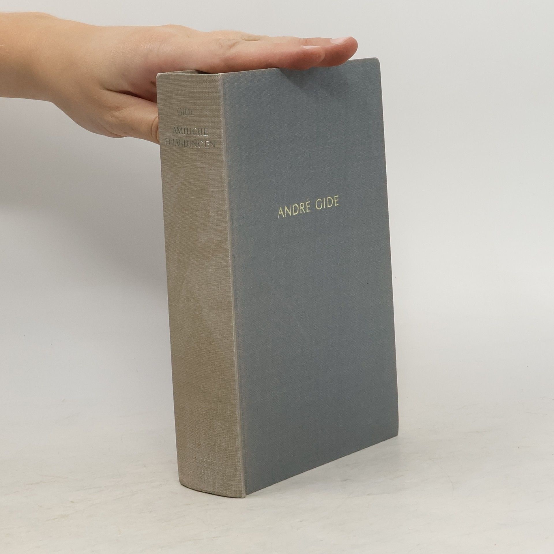 André Gide Sämtliche Erzählungen