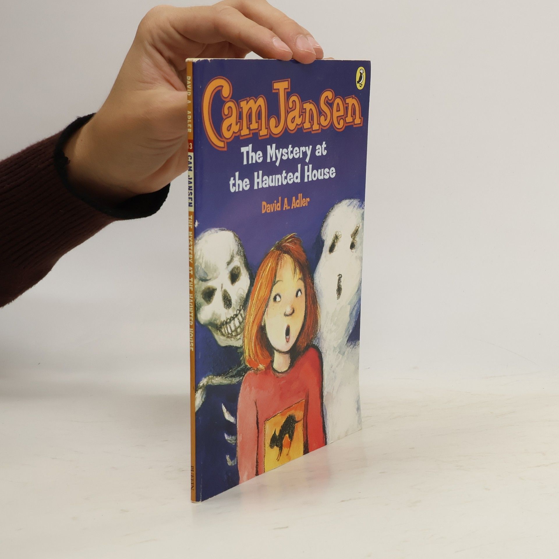 David A. Adler Cam Jansen - 13: The Mystery at the Haunted House