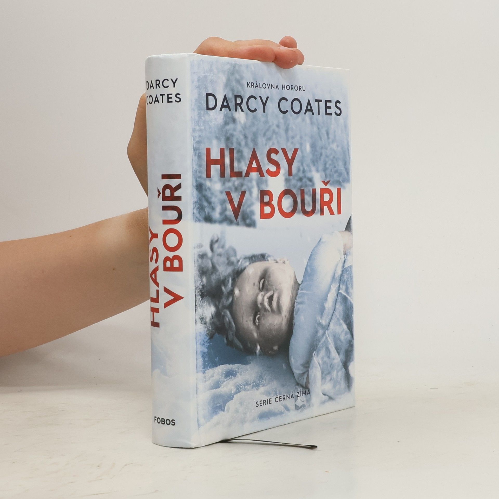Darcy Coates Hlasy v bouři