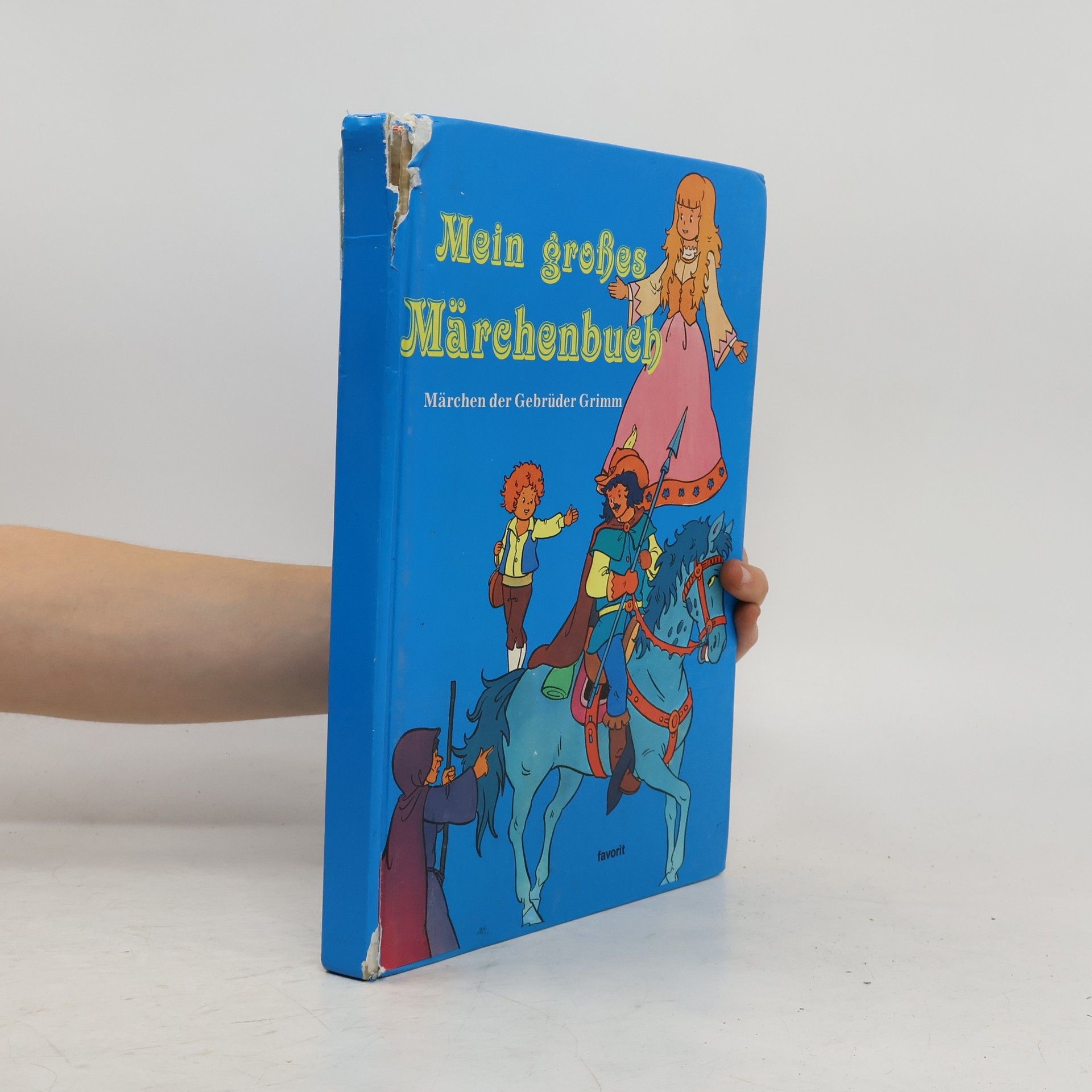 bratři Grimmové Mein großes Märchenbuch