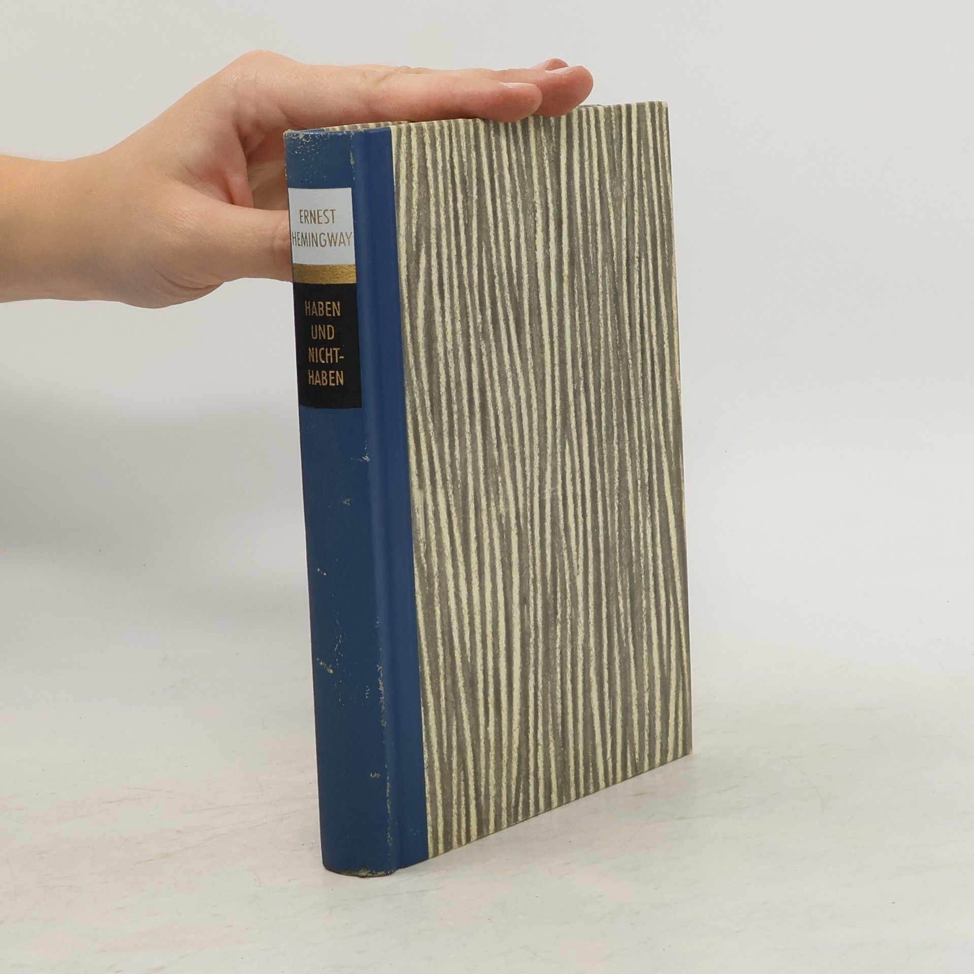 Ernest Hemingway Haben und Nichthaben