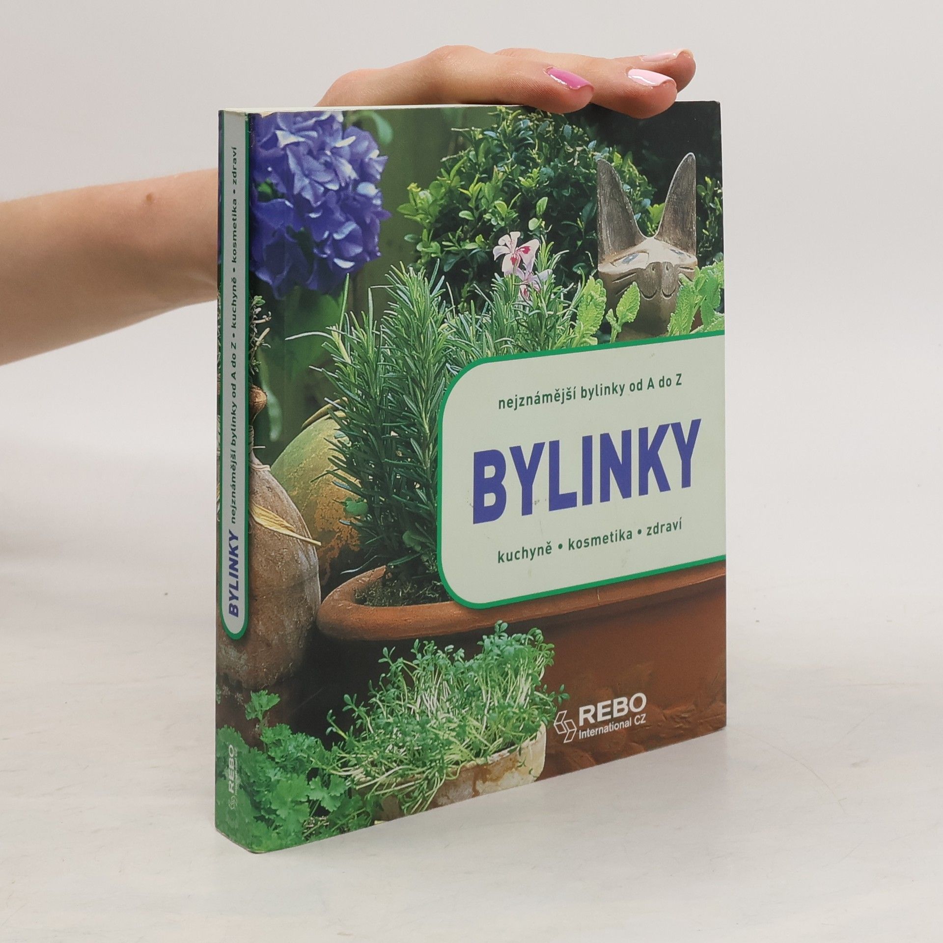 Andrea Rausch Bylinky : nejznámější bylinky od A do Z : kuchyně, kosmetika, zdraví