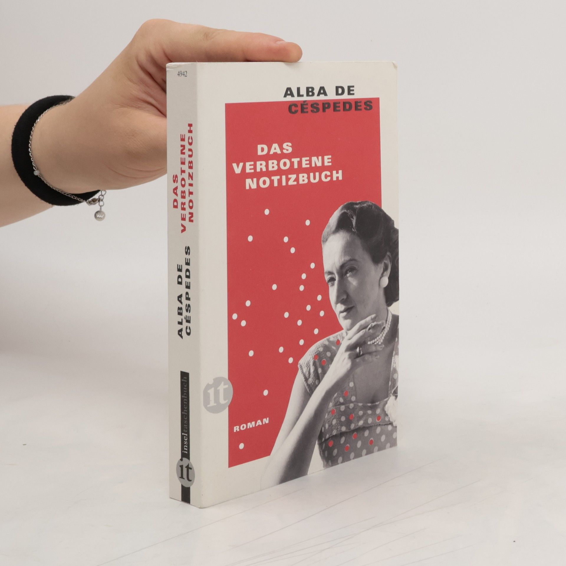 Alba De Céspedes Das verbotene Notizbuch