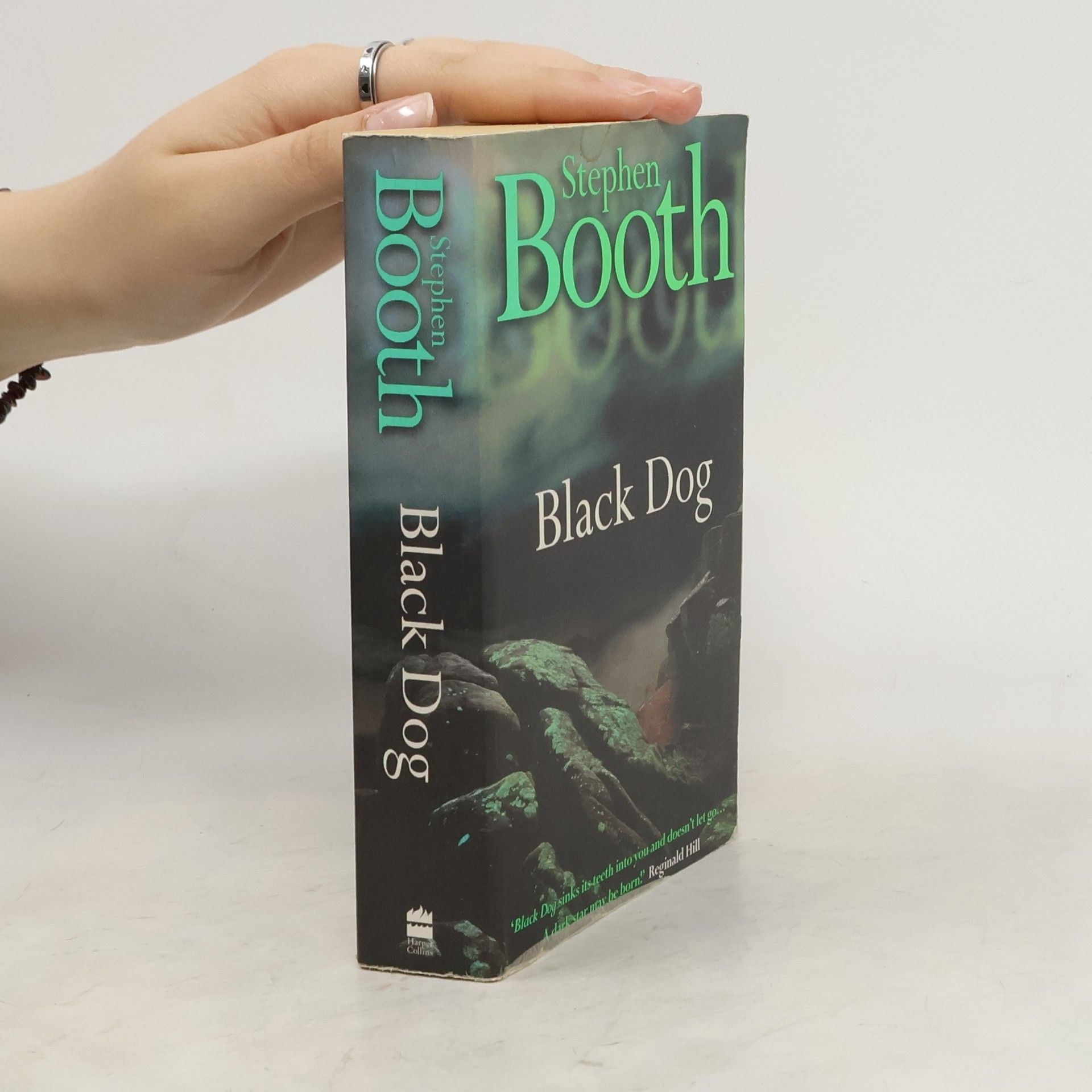 Stephen Booth Black Dog