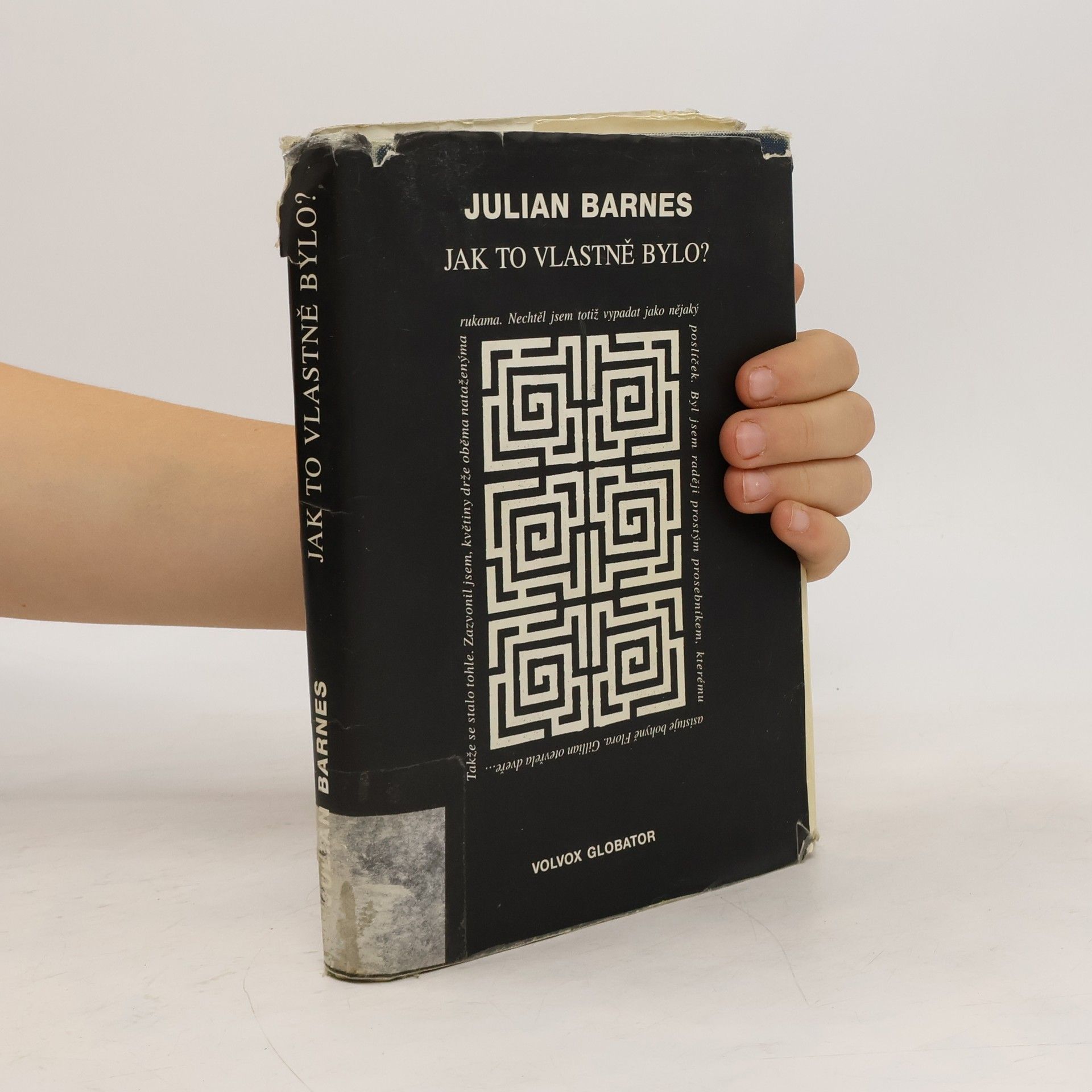 Julian Barnes Jak to vlastně bylo?