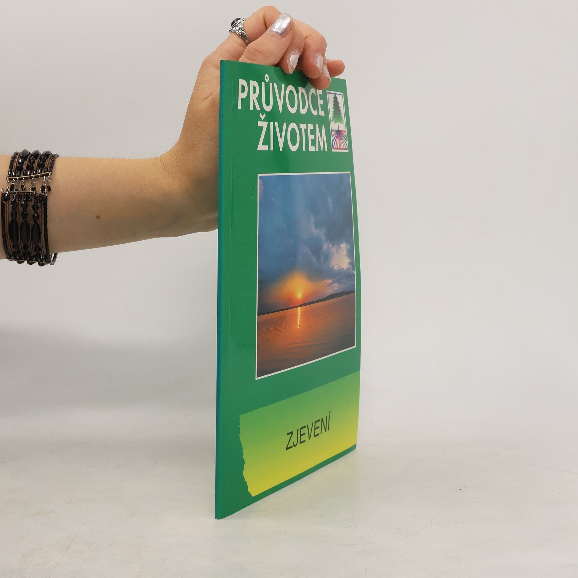 Autorenkollektiv Zjevení