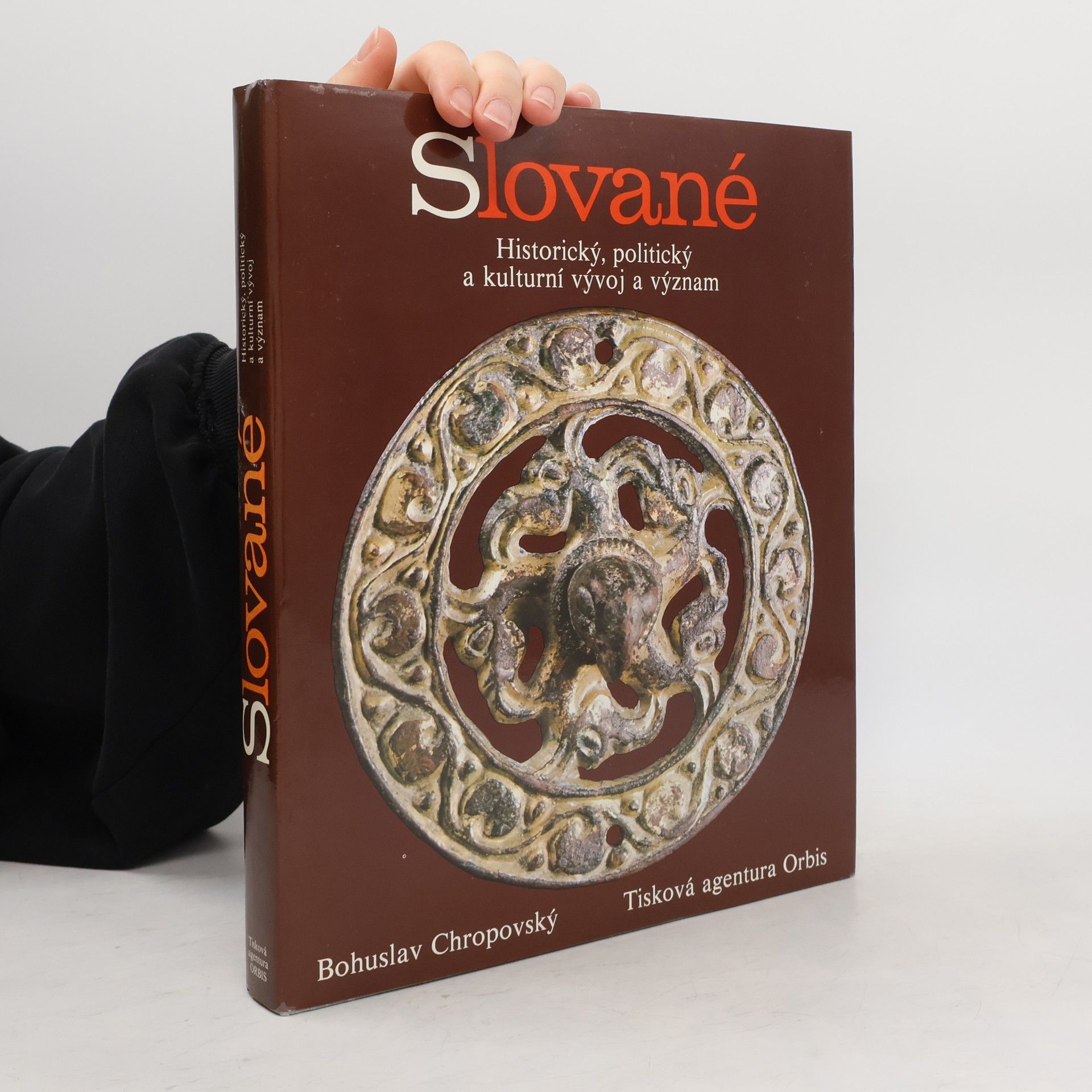 Bohuslav Chropovský Slované. Historický, politický a kulturní vývoj a význam