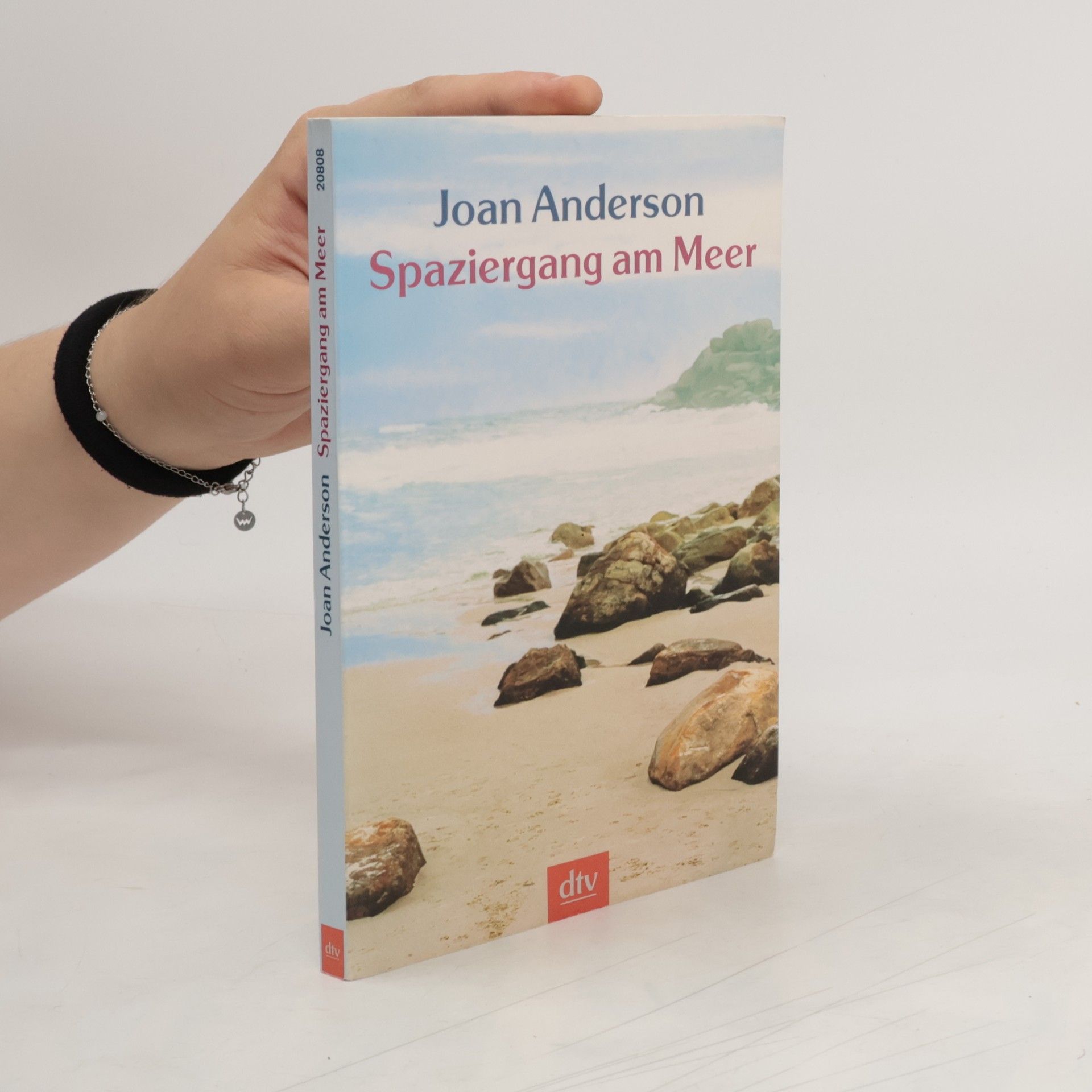 Joan Anderson Spaziergang am Meer