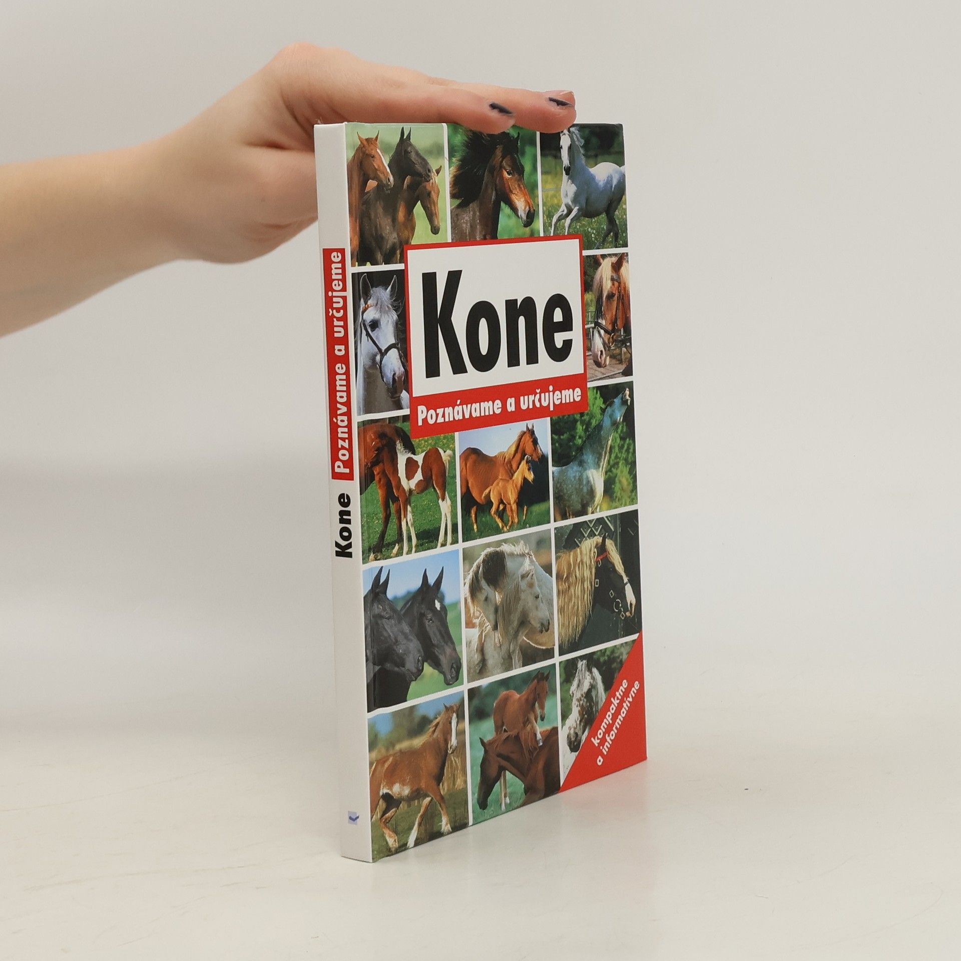 Autorenkollektiv Kone