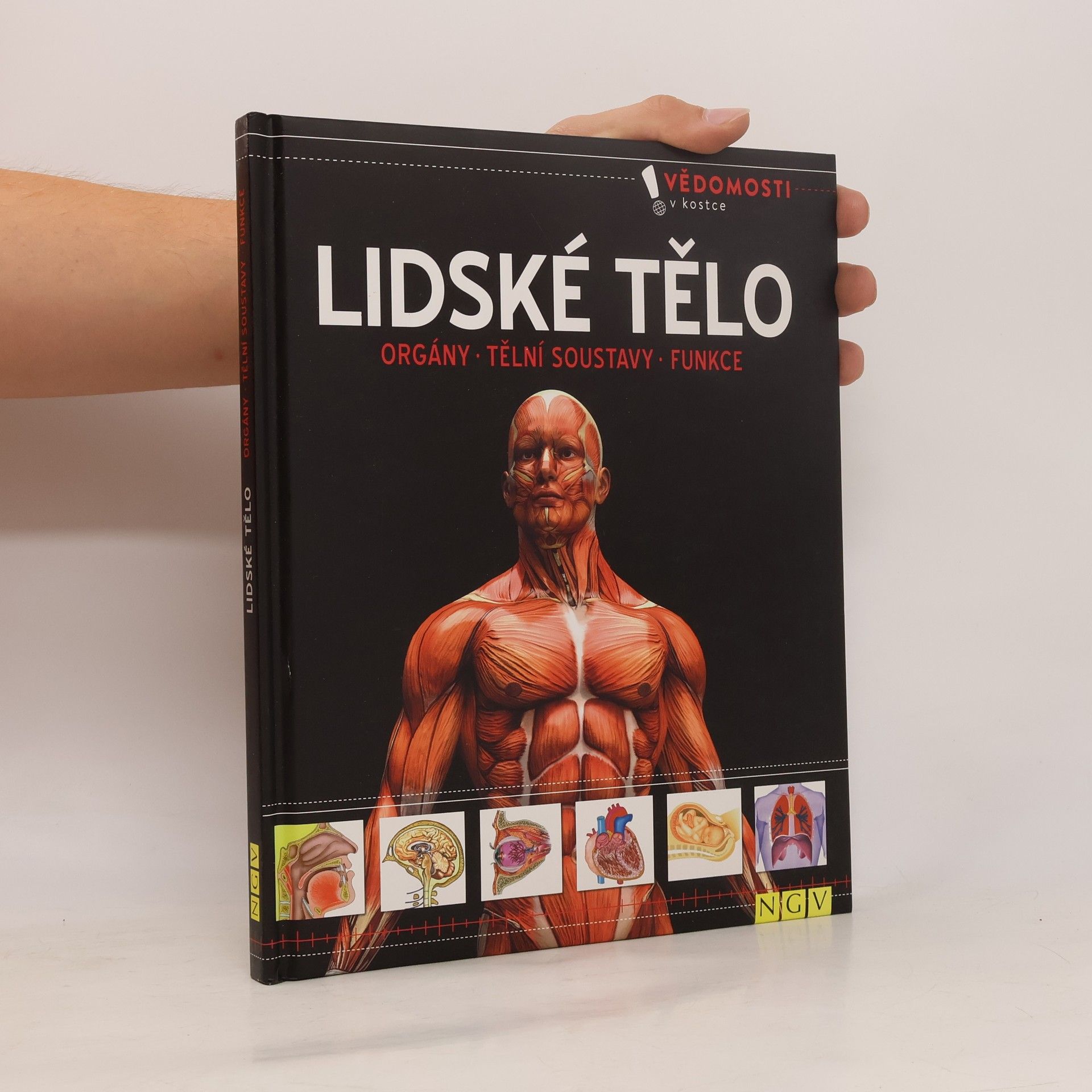 kolektiv Lidské tělo. Orgány, tělní soustavy, funkce
