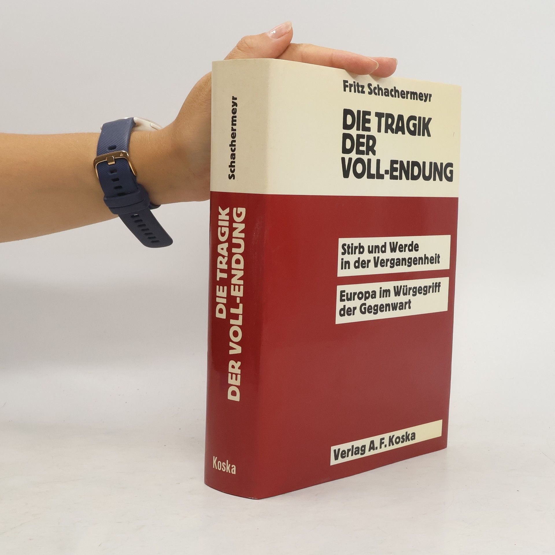 Fritz Schacherneyer Die Tragik der Voll-Endung