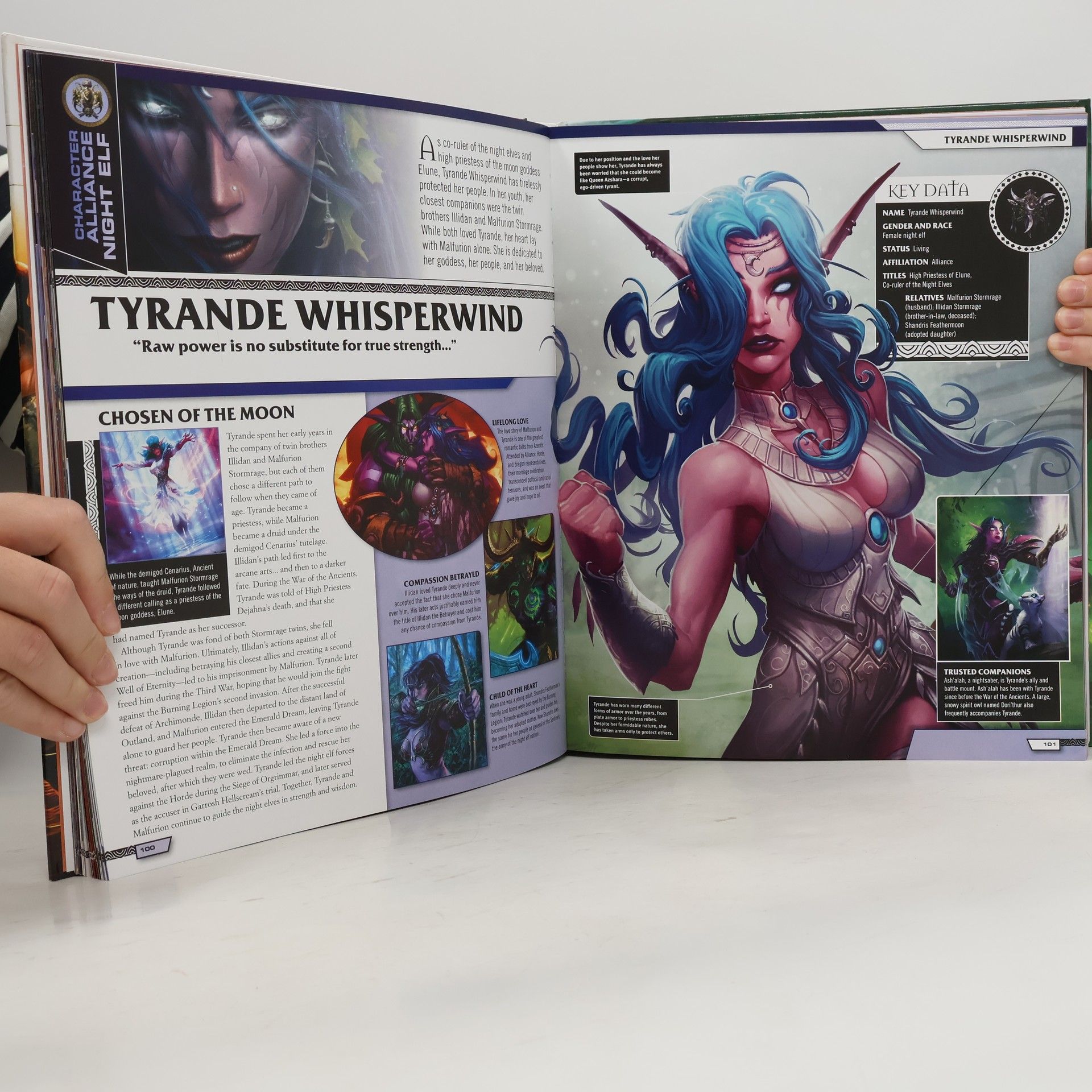 Anne Stickney World of Warcraft Ultimate Visual Guide