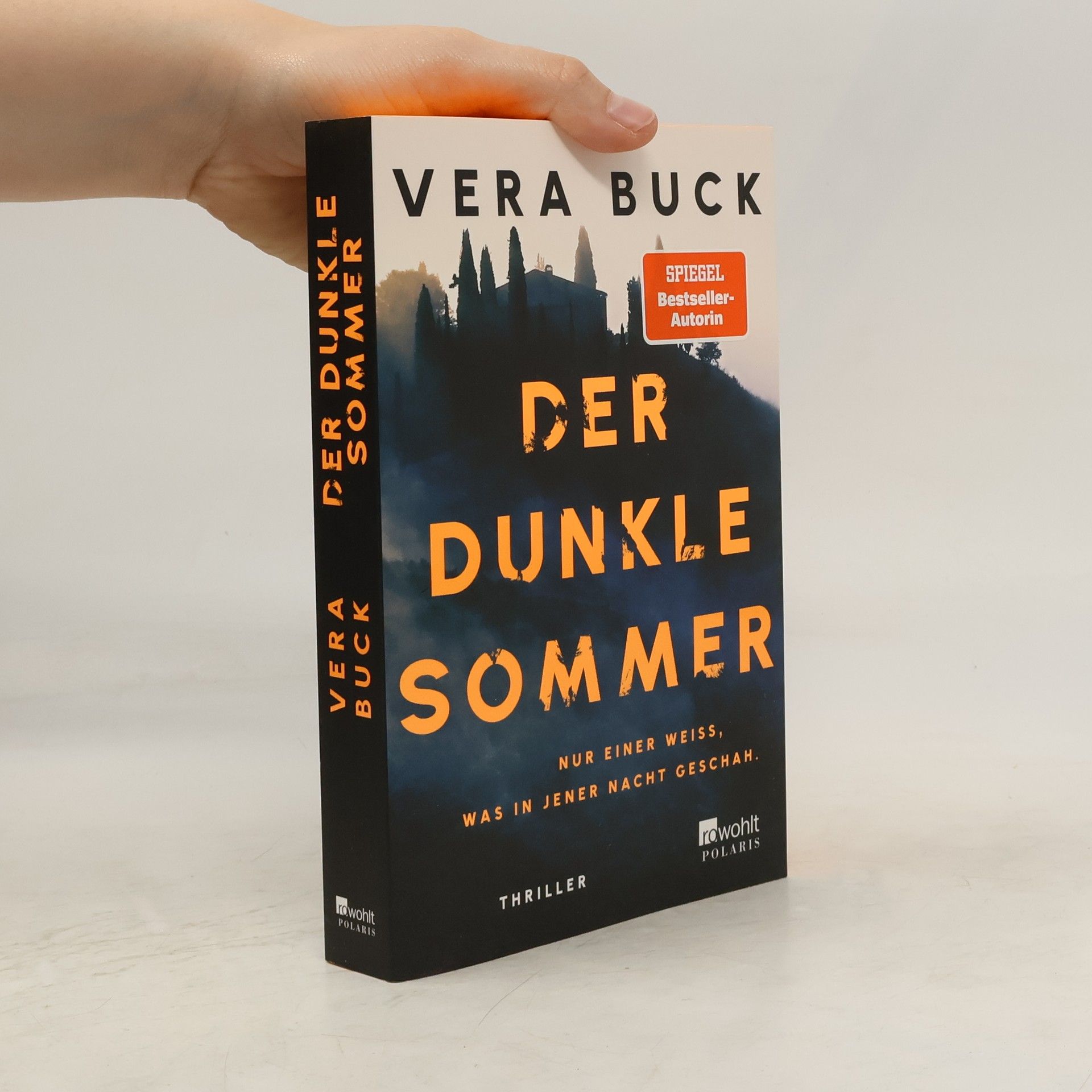 Vera Buck Der dunkle Sommer