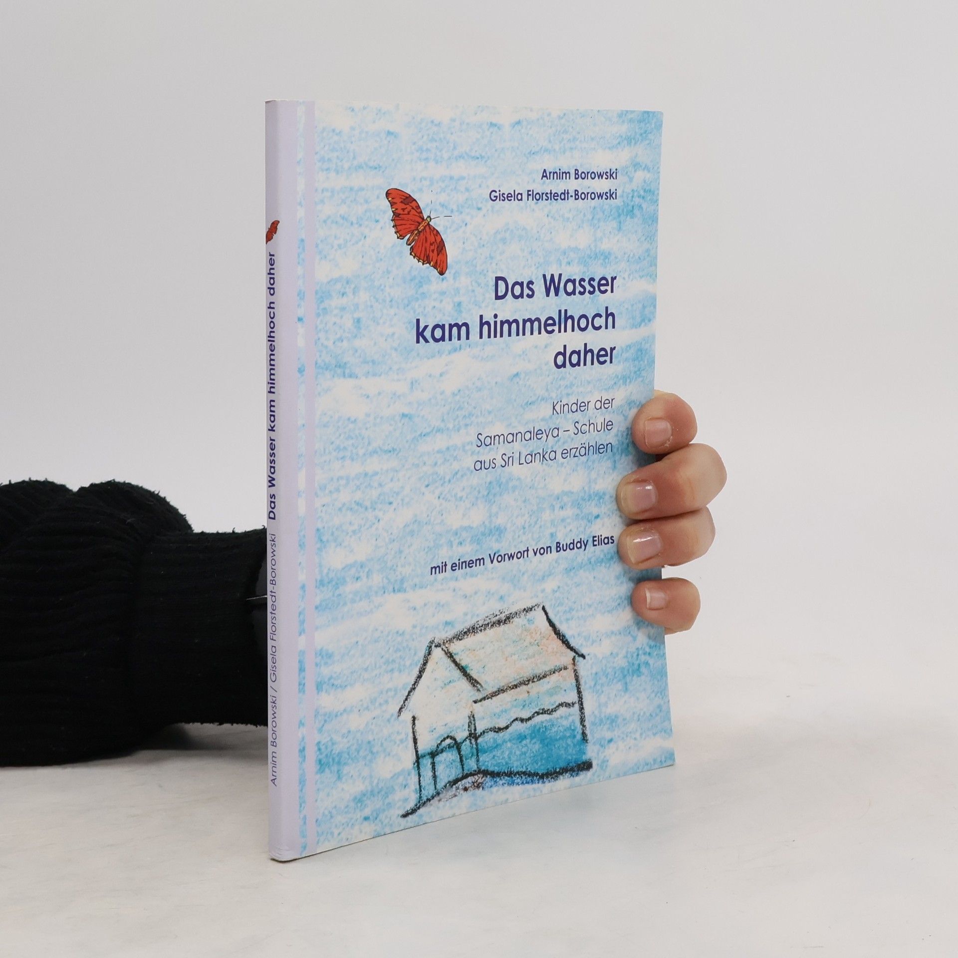 Arnim Borowski Das Wasser kam himmelhoch daher