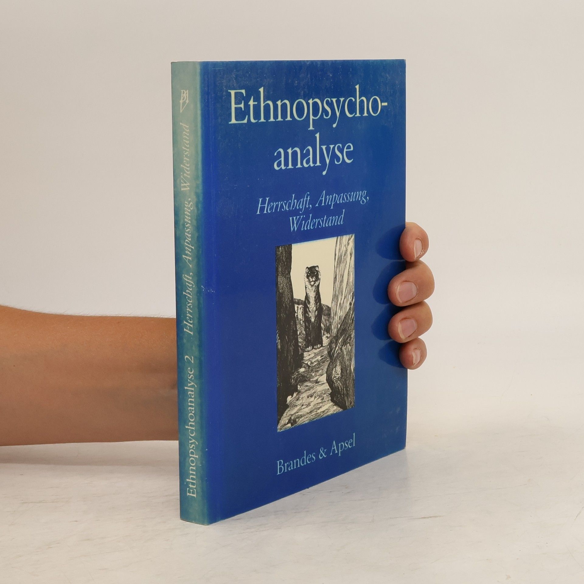 Eva Maria Blum Ethnopsychoanalyse