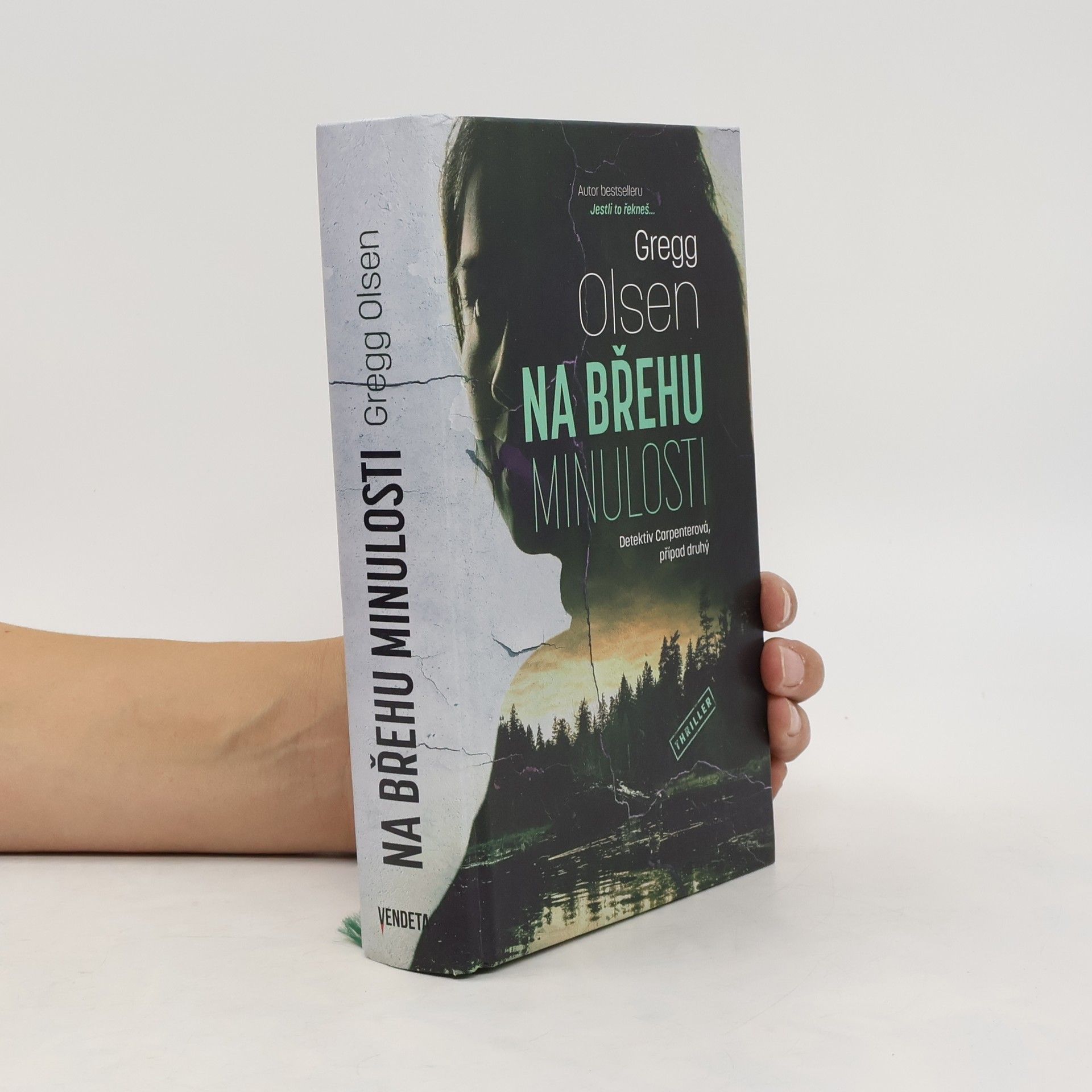 Gregg Olsen Na břehu minulosti