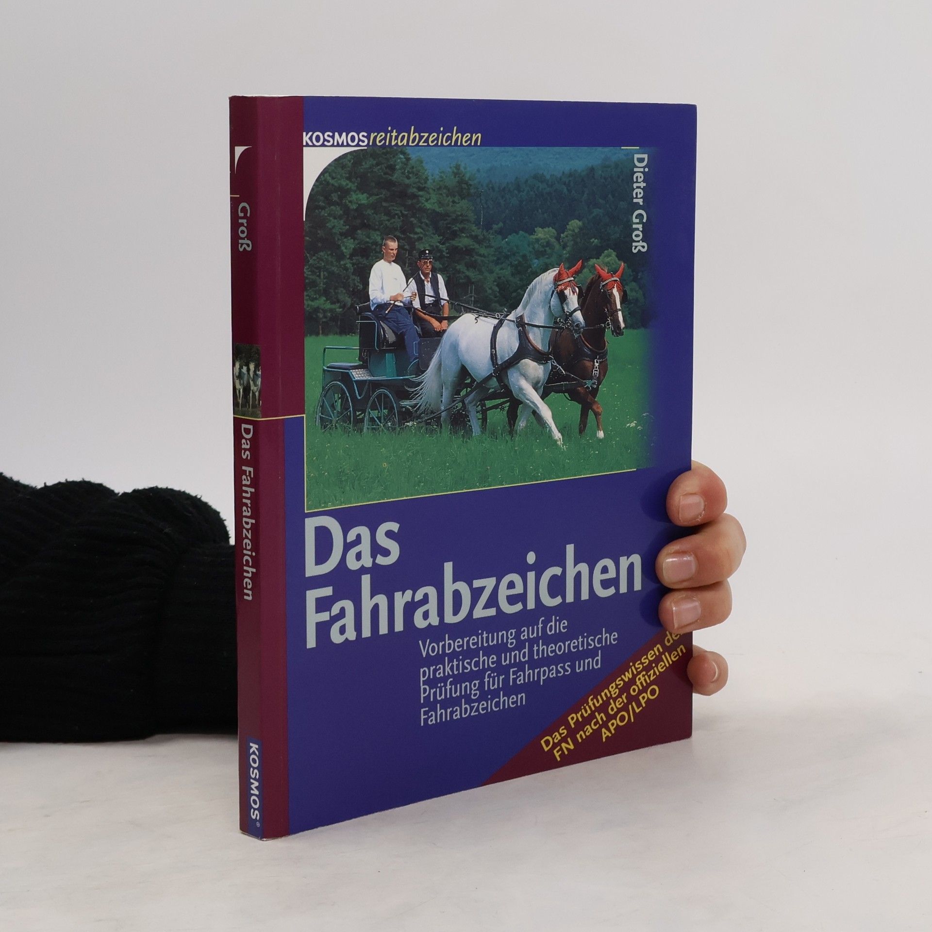 Dieter Groß Das Fahrabzeichen