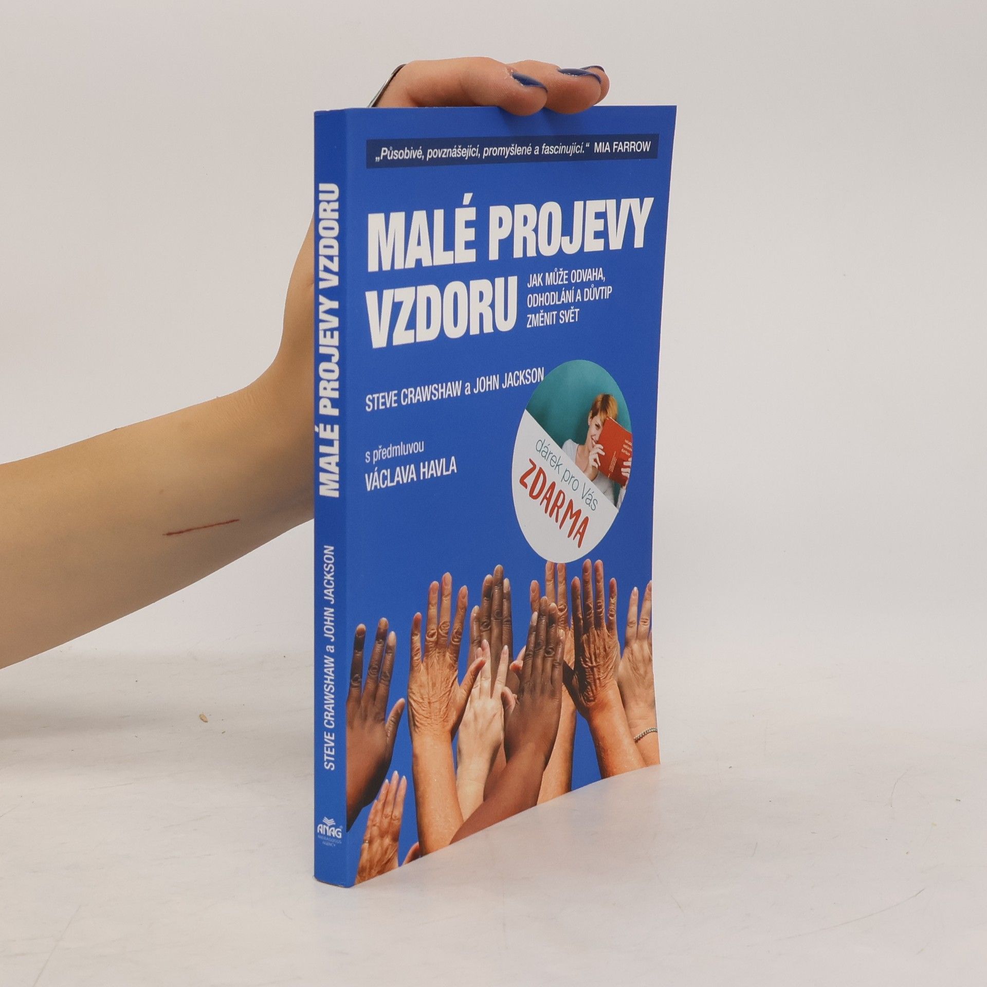 Steve Crawshaw Malé projevy vzdoru : jak může odvaha, odhodlání a důvtip změnit svět