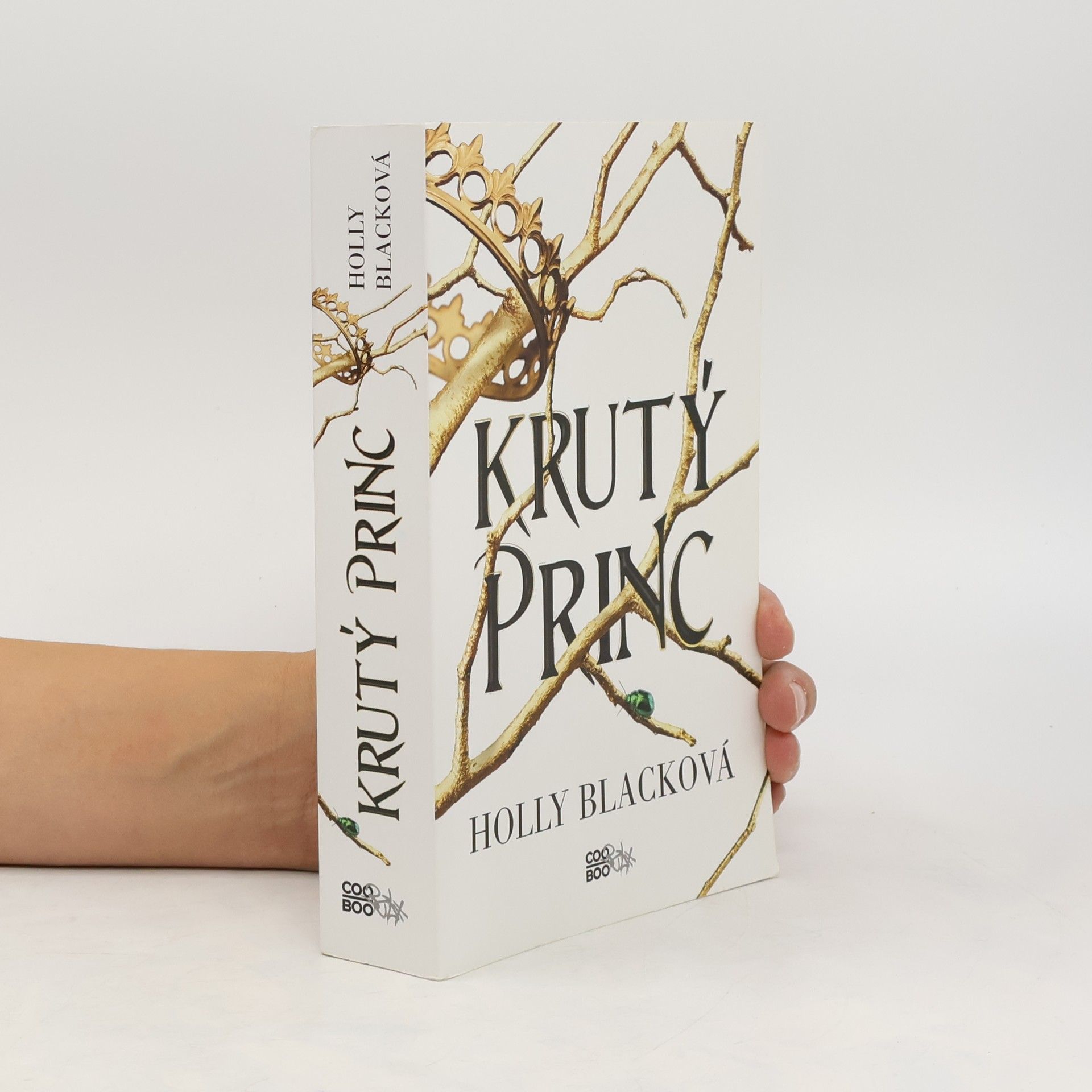Holly Black Krutý princ