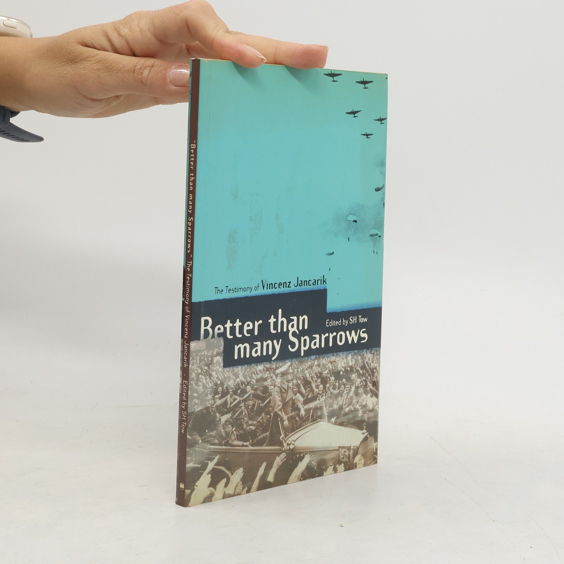 Better than many Sparrows