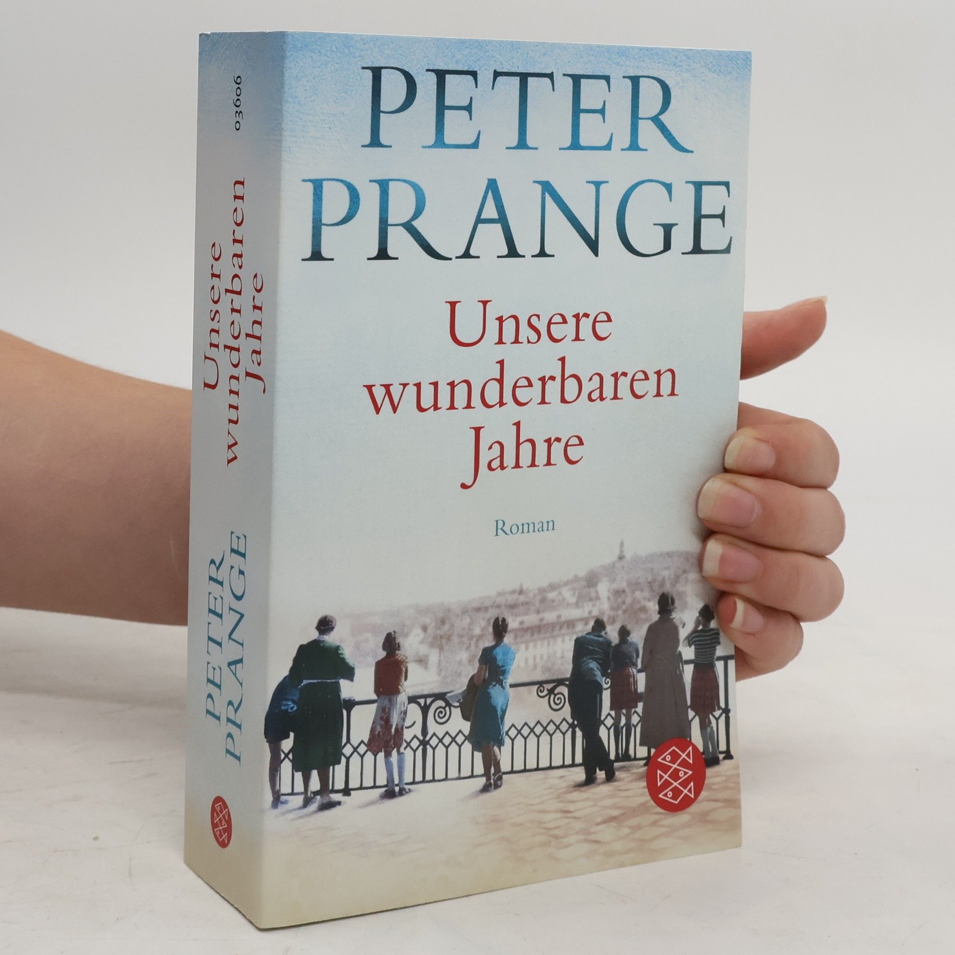 Peter Prange Unsere wunderbaren Jahre