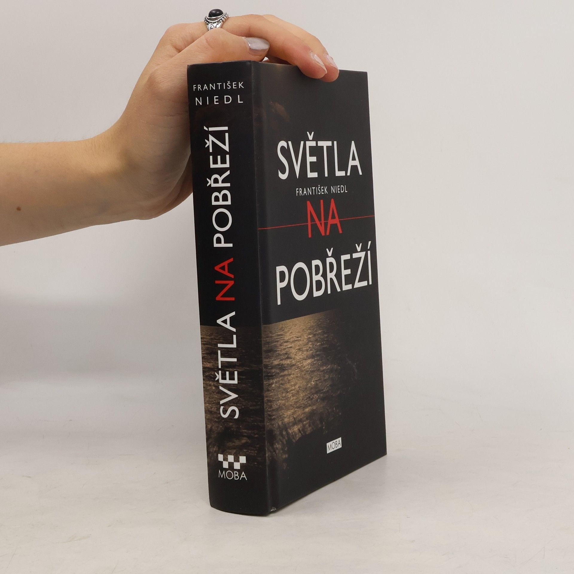 František Niedl Světla na pobřeží