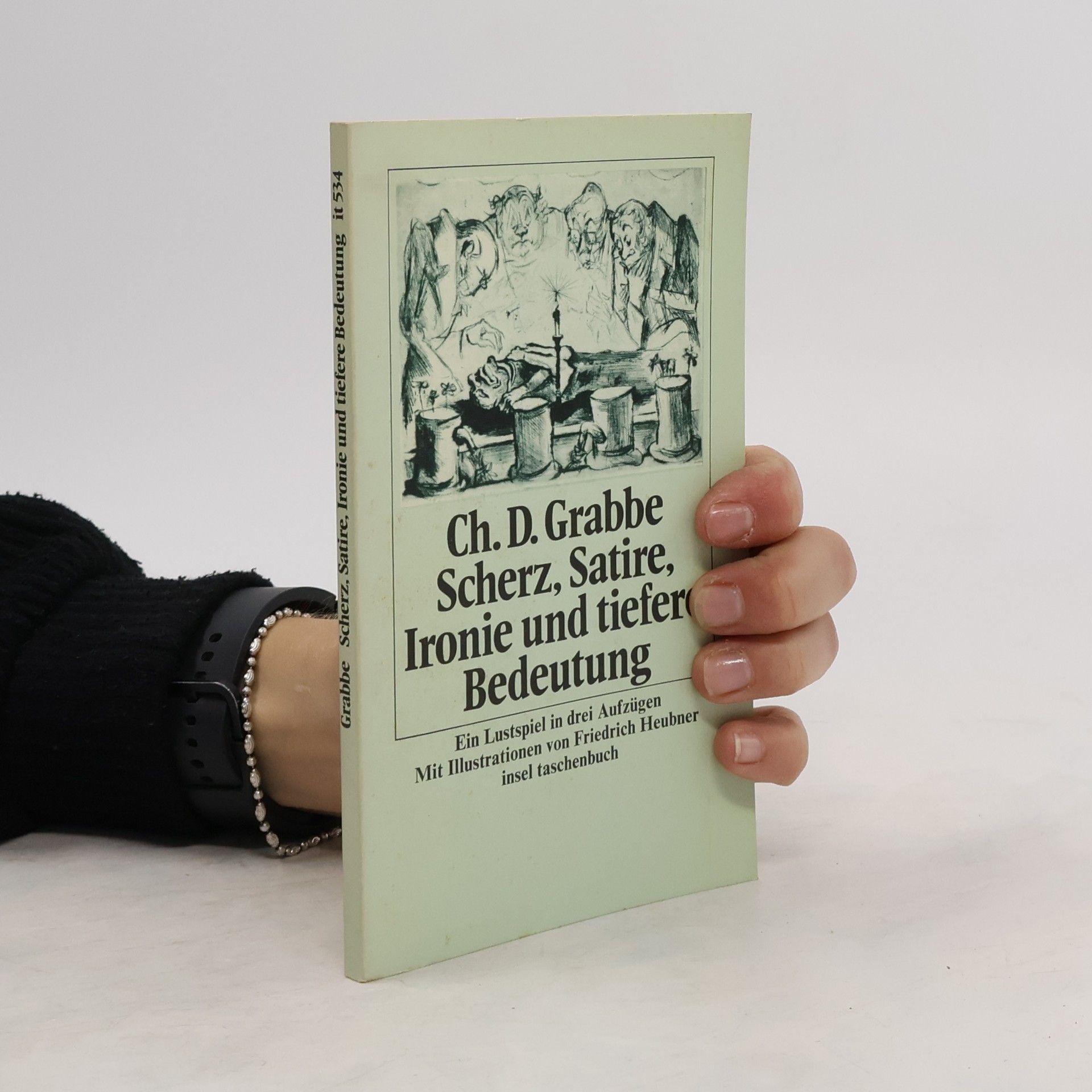 Ch. D. Grabbe Insel Taschenbuch - 534: Scherz, Satire, Ironie und tiefere Bedeutung