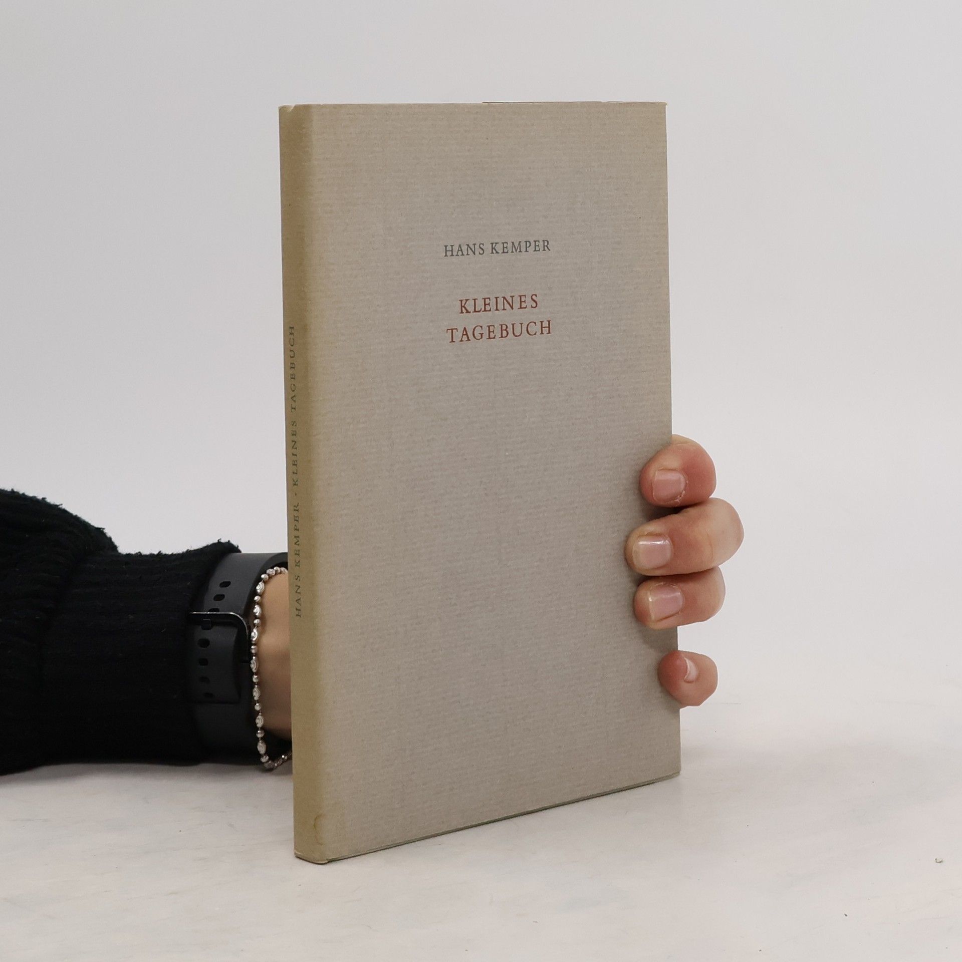 Hans Georg Kemper Kleines Tagebuch