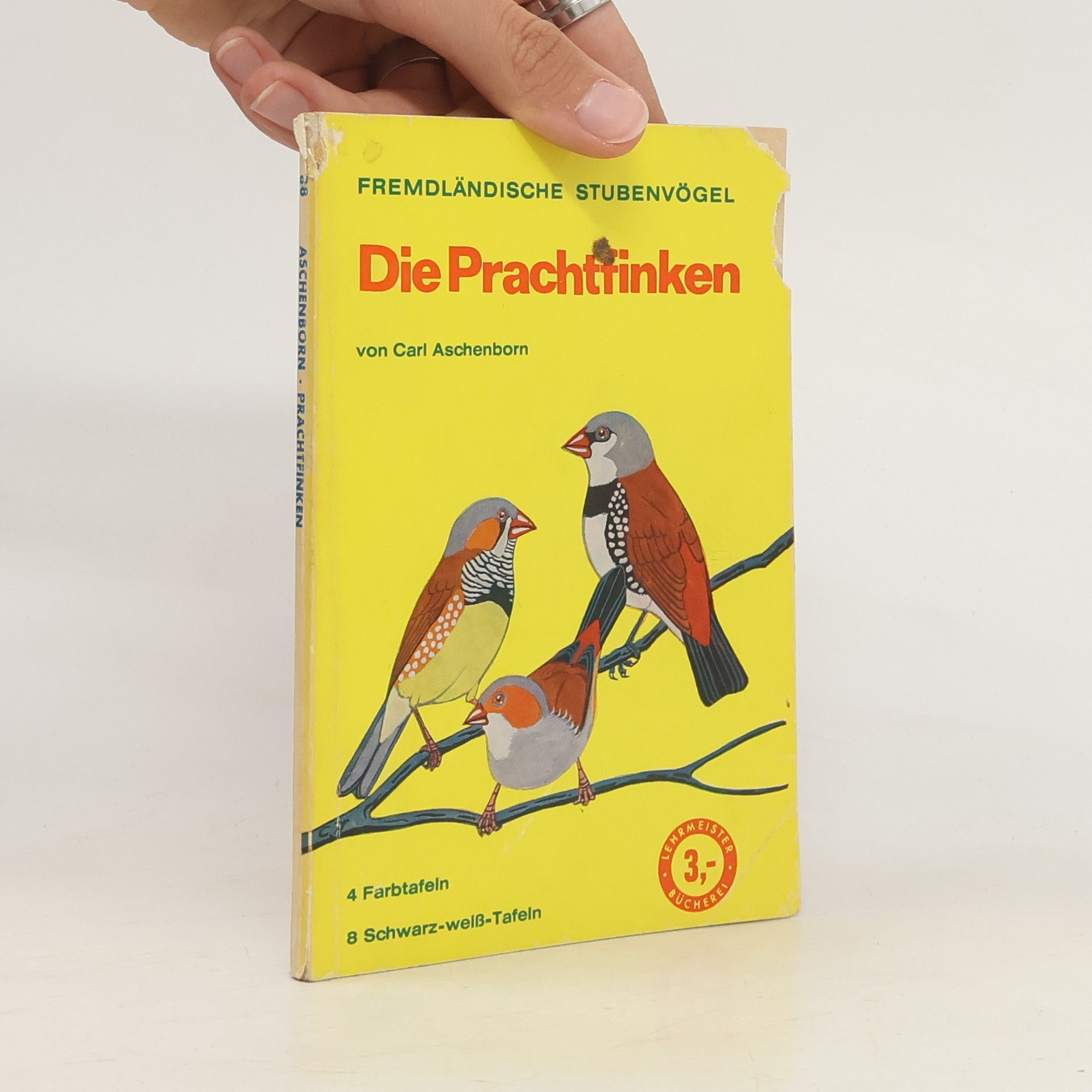 Carl Aschenborn Die Prachtfinken