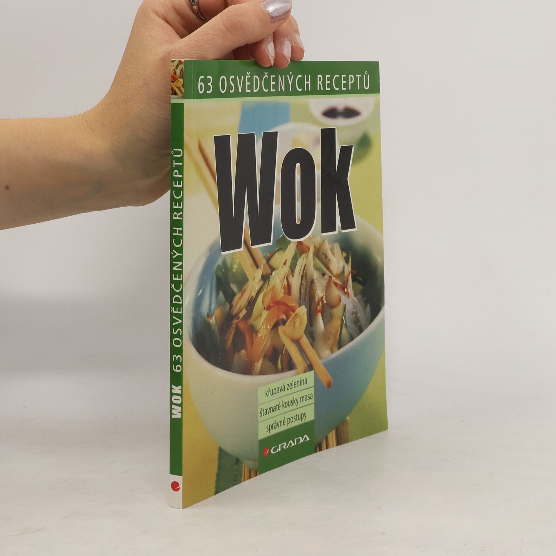Kolektiv autorů Wok - 63 osvědčených receptů