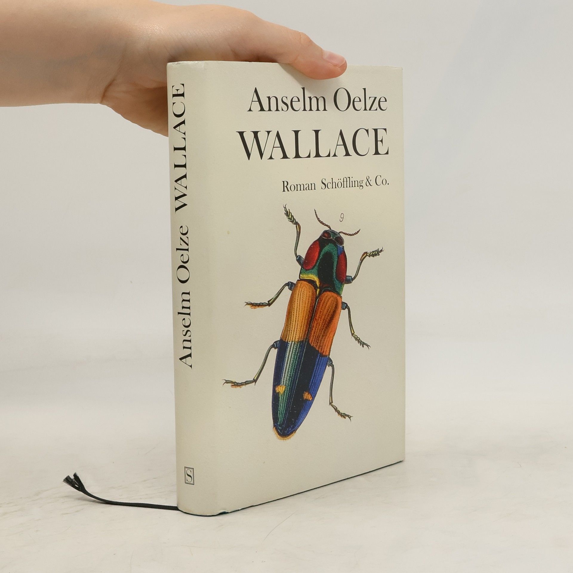 Anselm Oelze Wallace