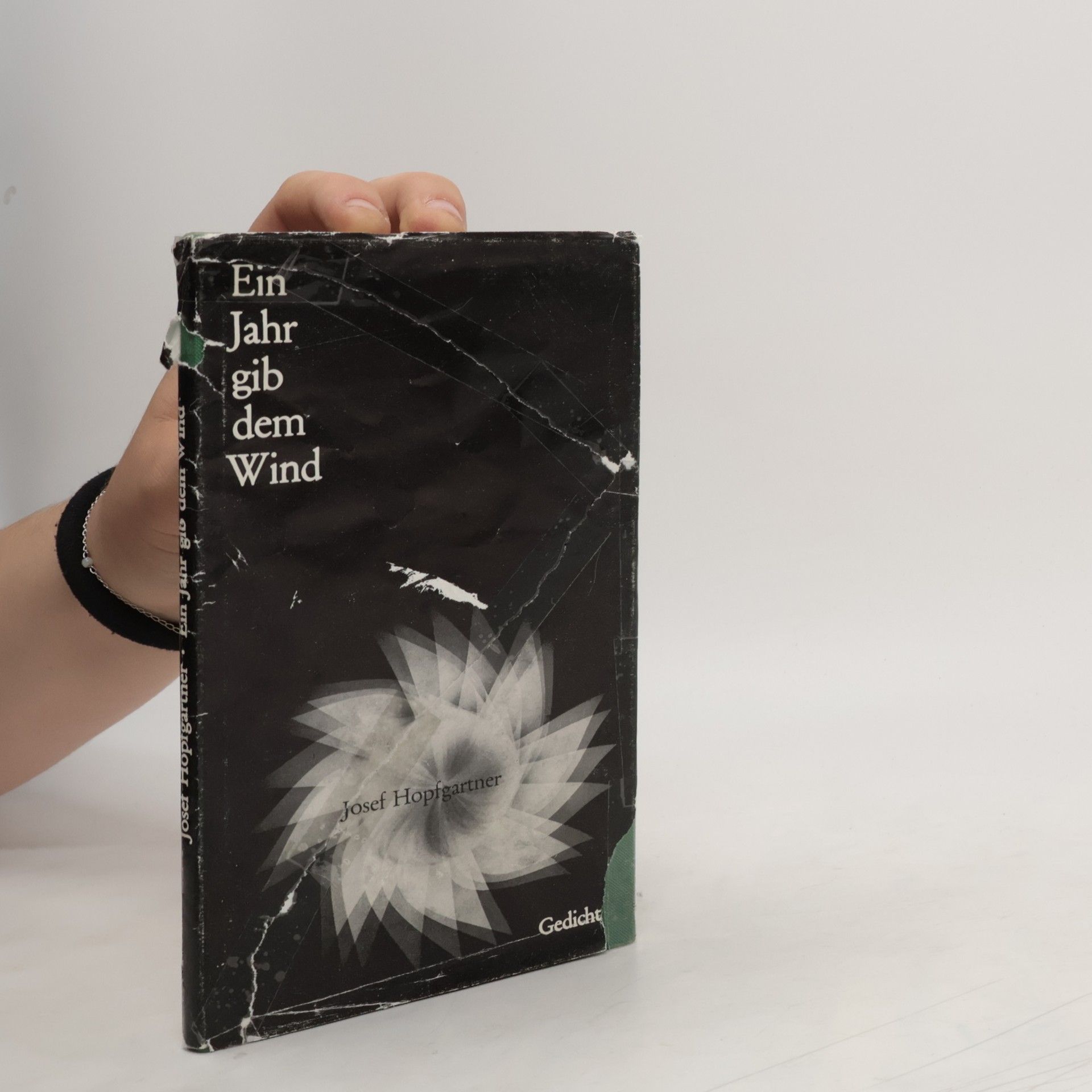 Josef Hopfgartner Ein Jahr gib dem Wind