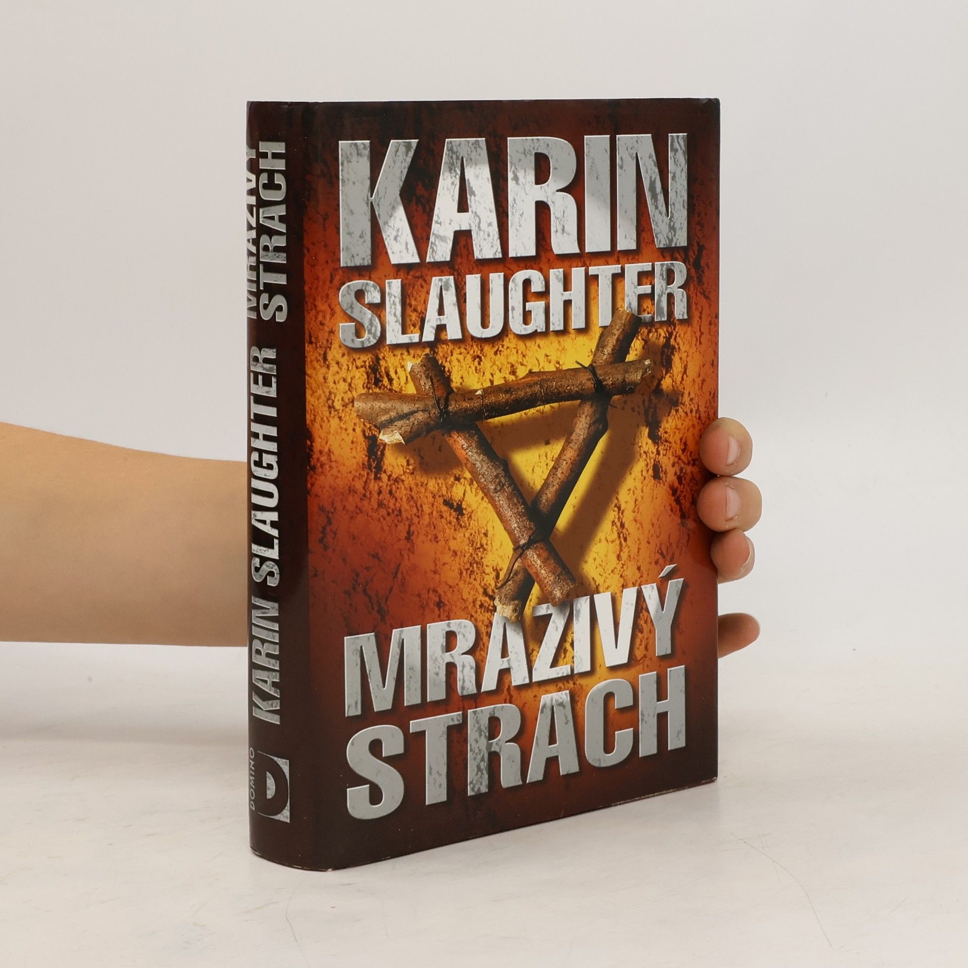 Karin Slaughter Mrazivý strach