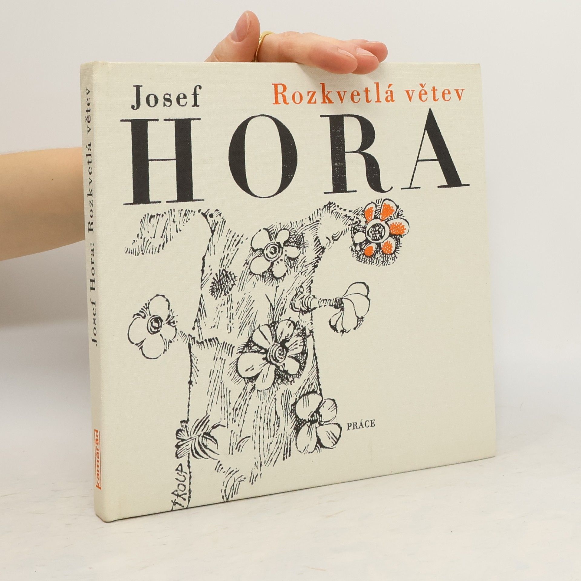 Josef Hora Rozkvetlá větev