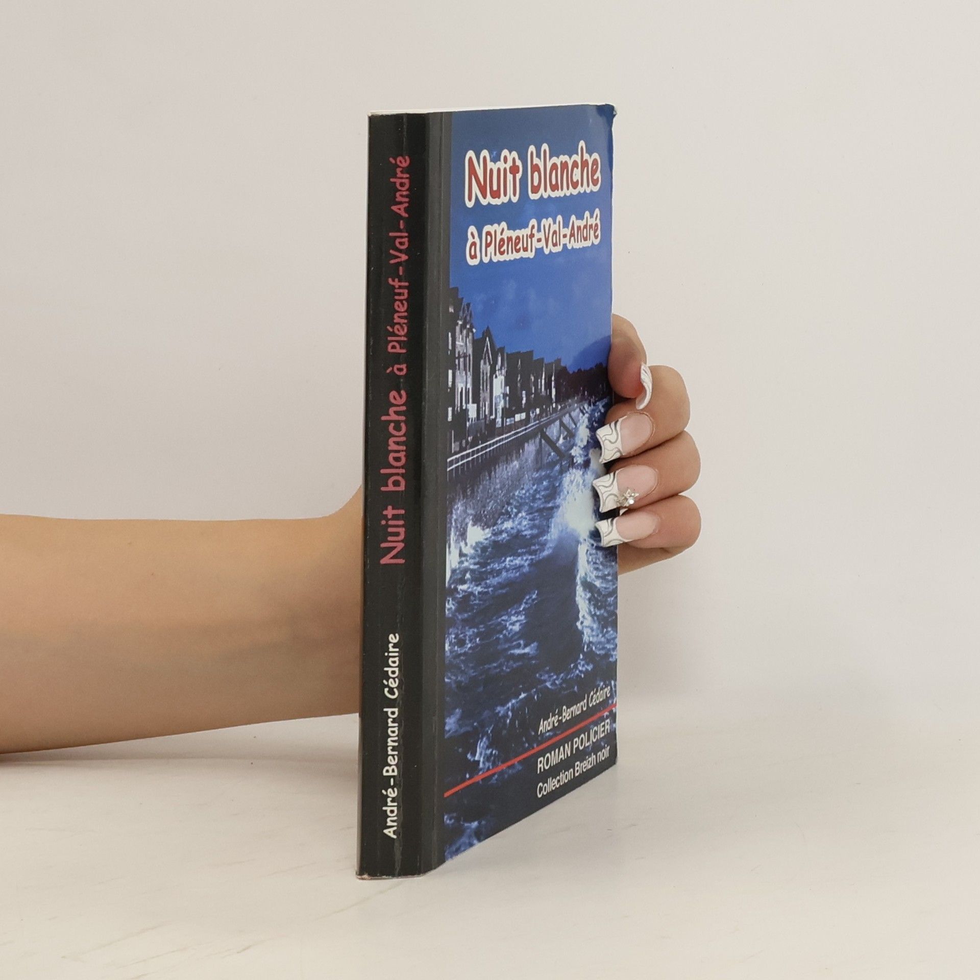 André Bernard Cédaire Nuit blanche à Pléneuf-Val-André