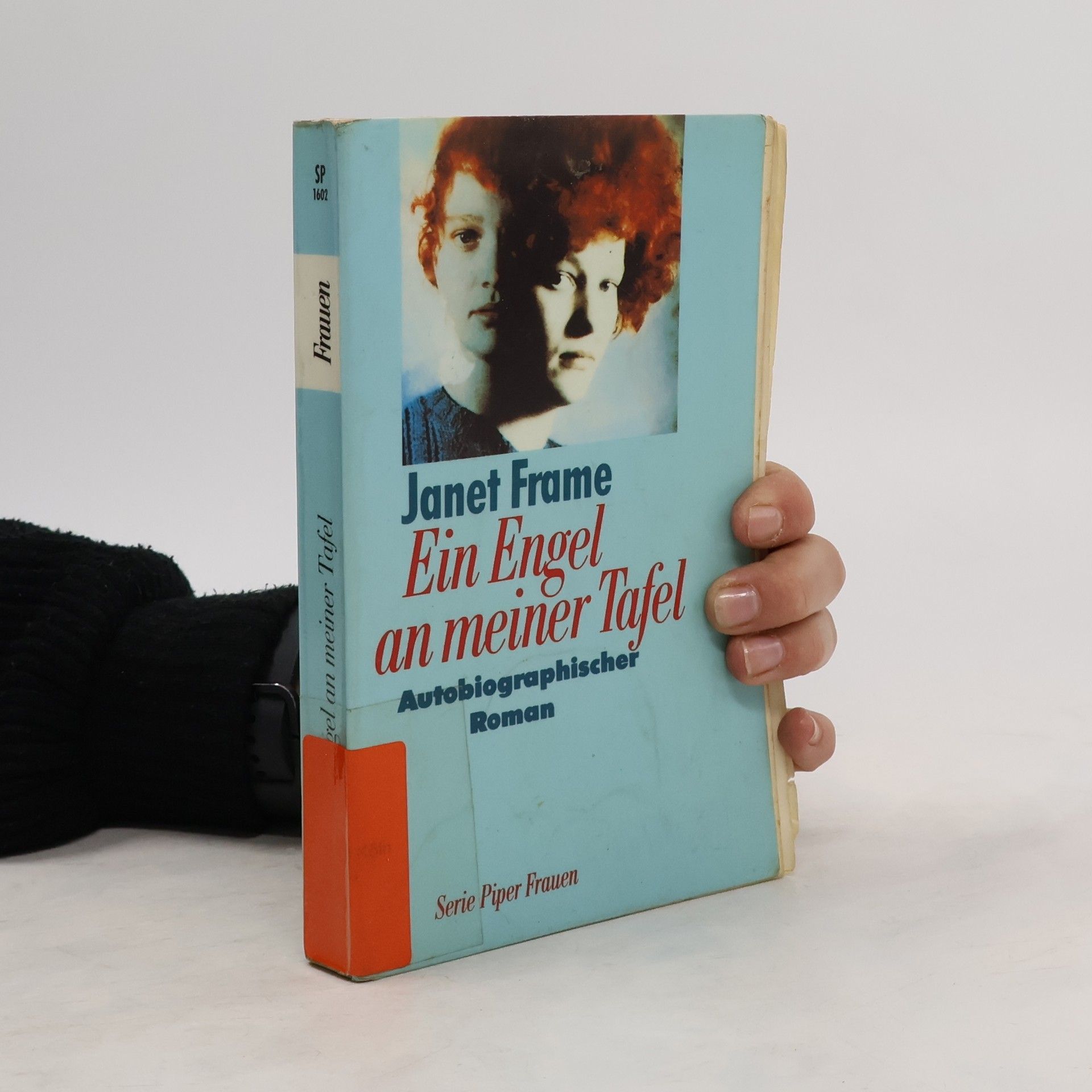 Janet Frame Ein Engel an meiner Tafel