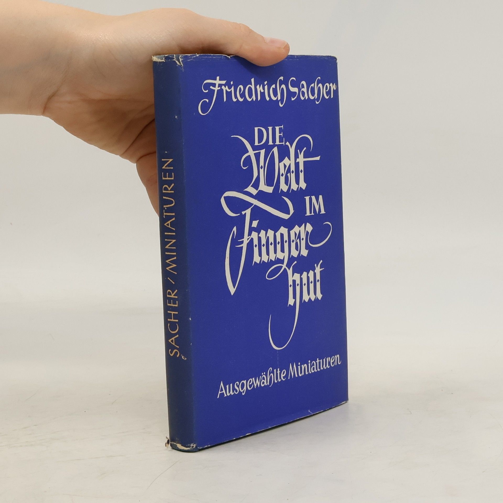 Friedrich Sacher Die Welt im Finger hut